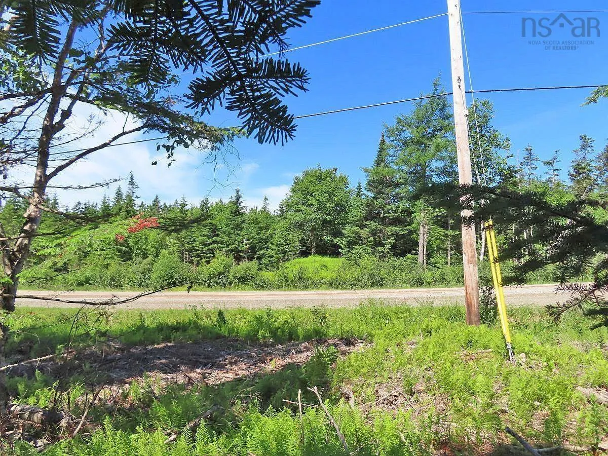 Lot 10 Loch Lomond Road, Big Pond Ns B1j 1r4, ,Land,For Sale,Loch Lomond,202411605