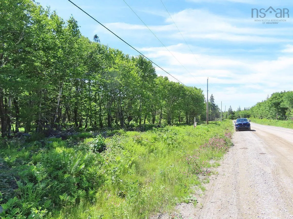 Lot 10 Loch Lomond Road, Big Pond Ns B1j 1r4, ,Land,For Sale,Loch Lomond,202411605