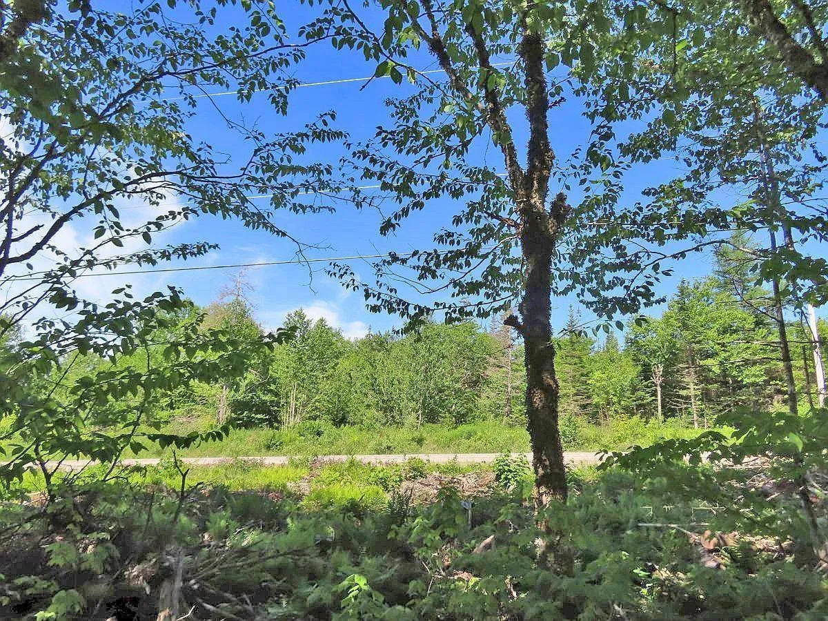 Lot 10 Loch Lomond Road, Big Pond Ns B1j 1r4, ,Land,For Sale,Loch Lomond,202411605