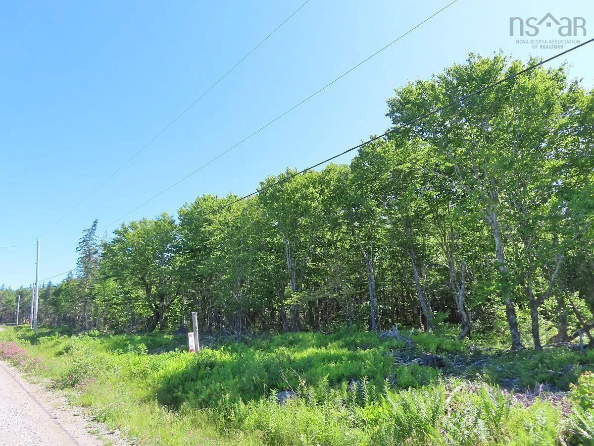 Lot 10 Loch Lomond Road, Big Pond Ns B1j 1r4, ,Land,For Sale,Loch Lomond,202411605