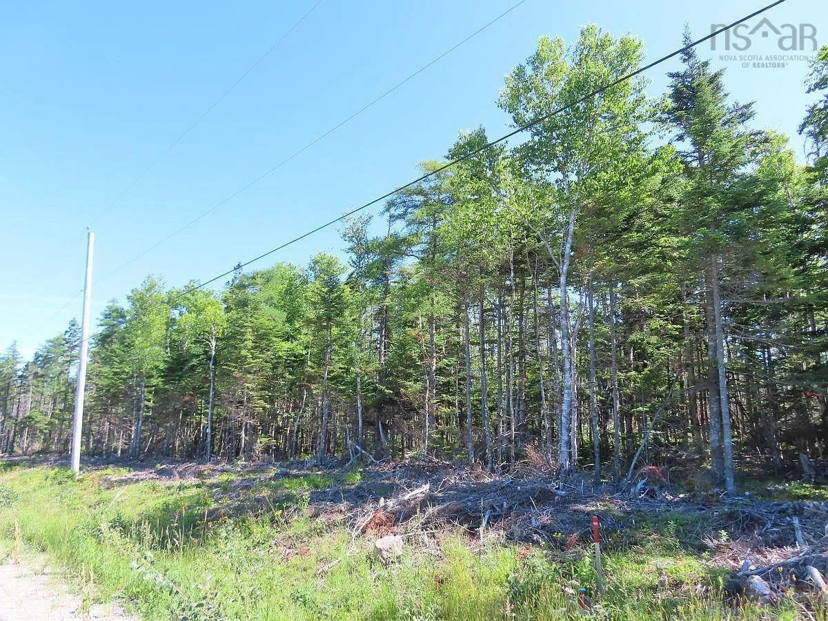Lot 10 Loch Lomond Road, Big Pond Ns B1j 1r4, ,Land,For Sale,Loch Lomond,202411605