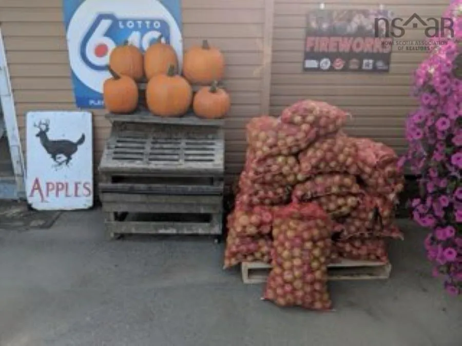 8865 8869 Hwy 101 Highway, Brighton, NS B0V 1A0, ,Commercial Sale,For Sale,Hwy 101,202519597