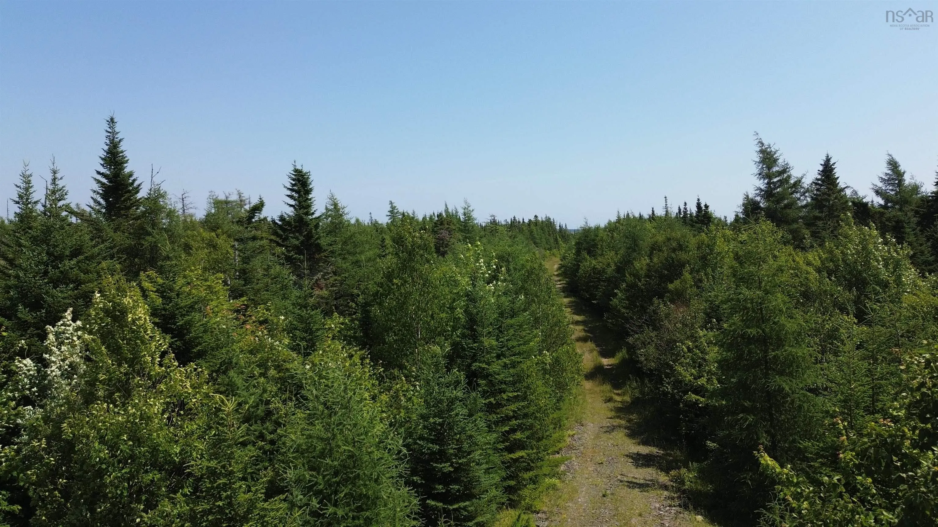 West Side Loch Lomond Road, Loch Lomond West, NS B2E 1C3, ,Land,For Sale,West Side Loch Lomond,202519024
