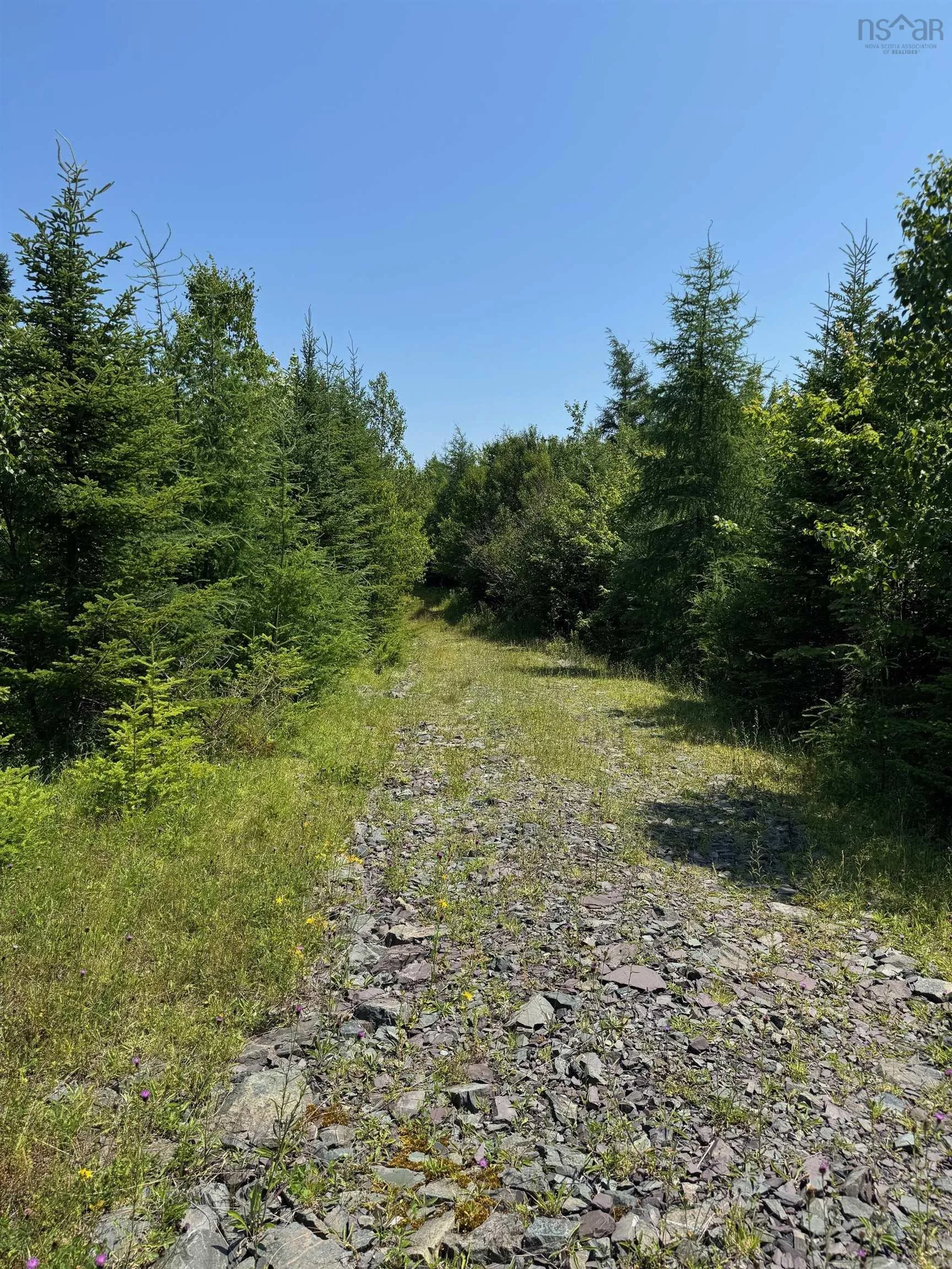 West Side Loch Lomond Road, Loch Lomond West, NS B2E 1C3, ,Land,For Sale,West Side Loch Lomond,202519024