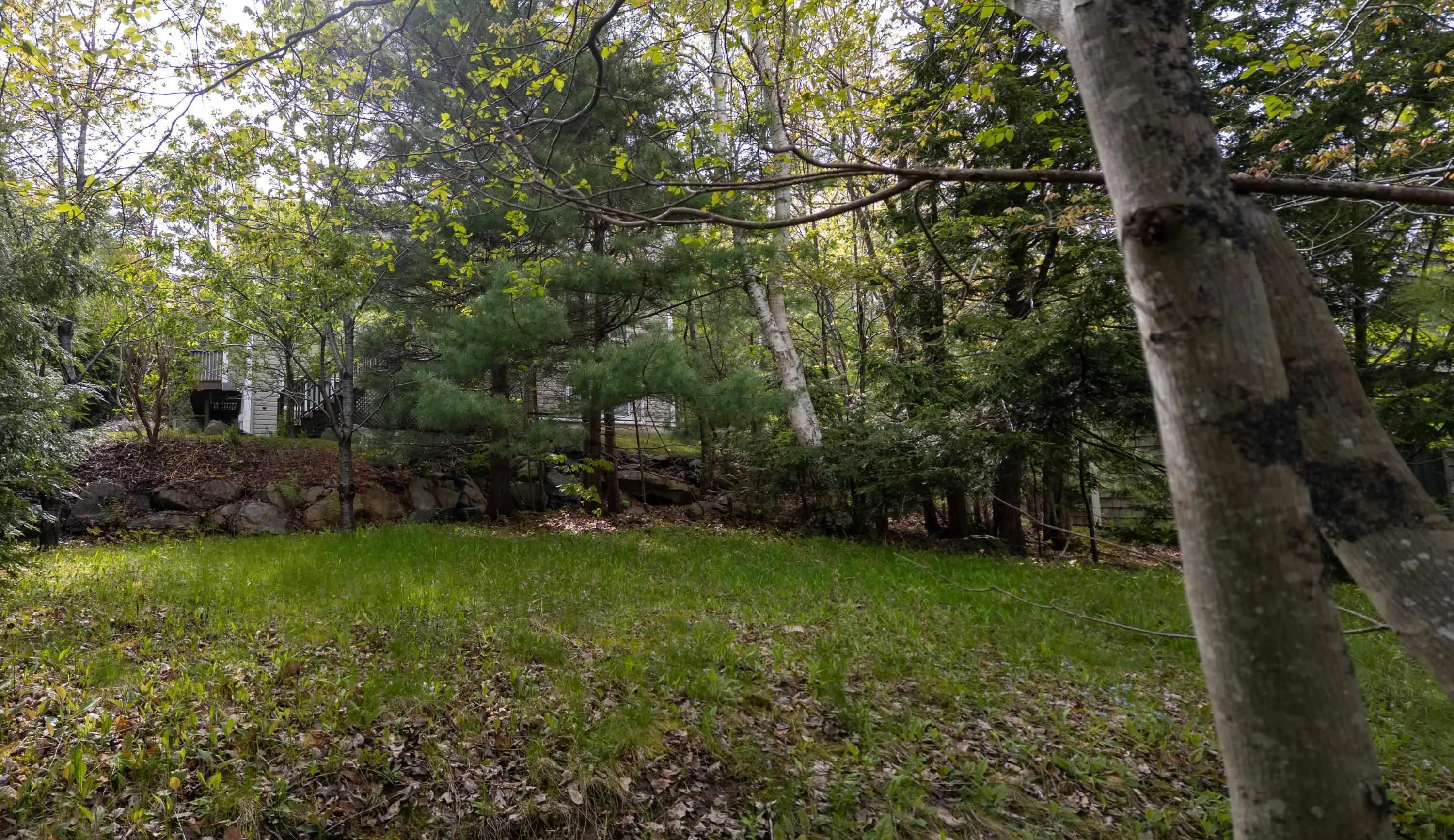 11 Millview Avenue, Bedford, NS B4A 1G8, 5 Bedrooms Bedrooms, ,5 BathroomsBathrooms,Residential,For Sale,Millview,202512663