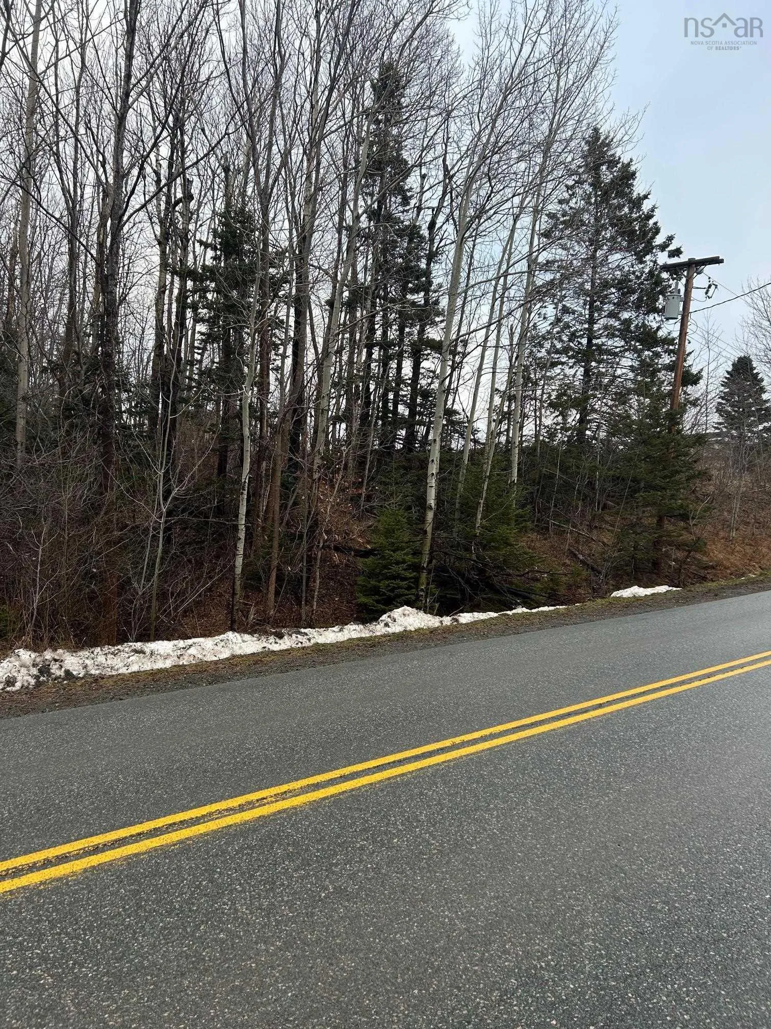 Lot Beeches Road, Bay View Ns B0k 1h0, ,Land,For Sale,Beeches,202408418