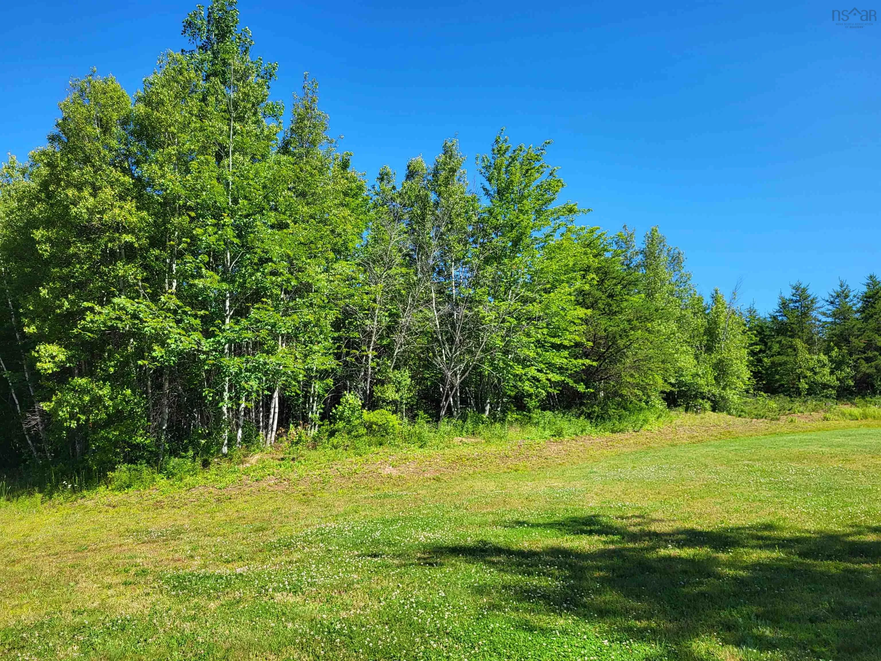 Lot 47 Sunset Avenue, Oxford Ns B0m 1p0, ,Land,For Sale,Sunset,202502306