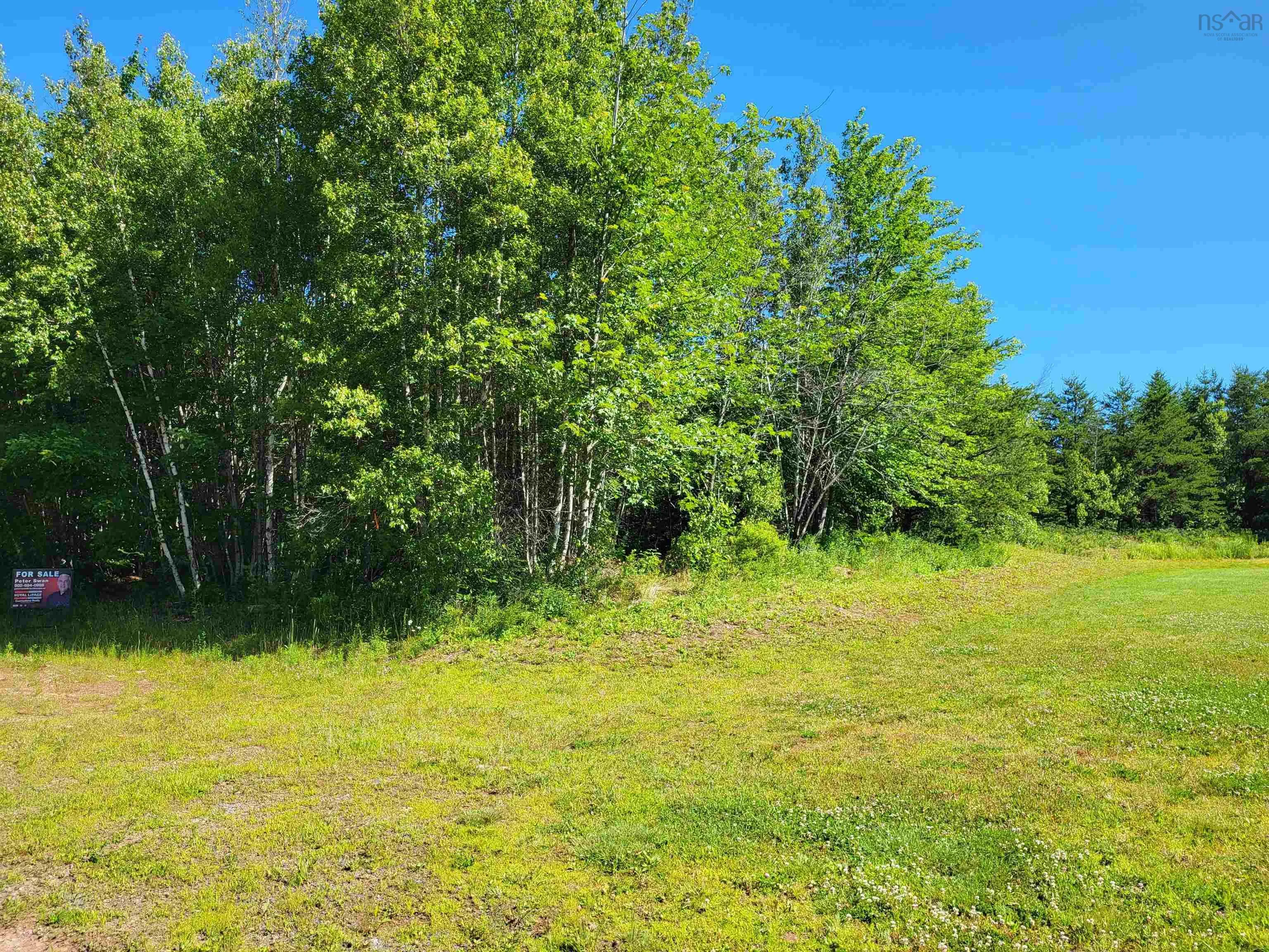 Lot 47 Sunset Avenue, Oxford Ns B0m 1p0, ,Land,For Sale,Sunset,202502306