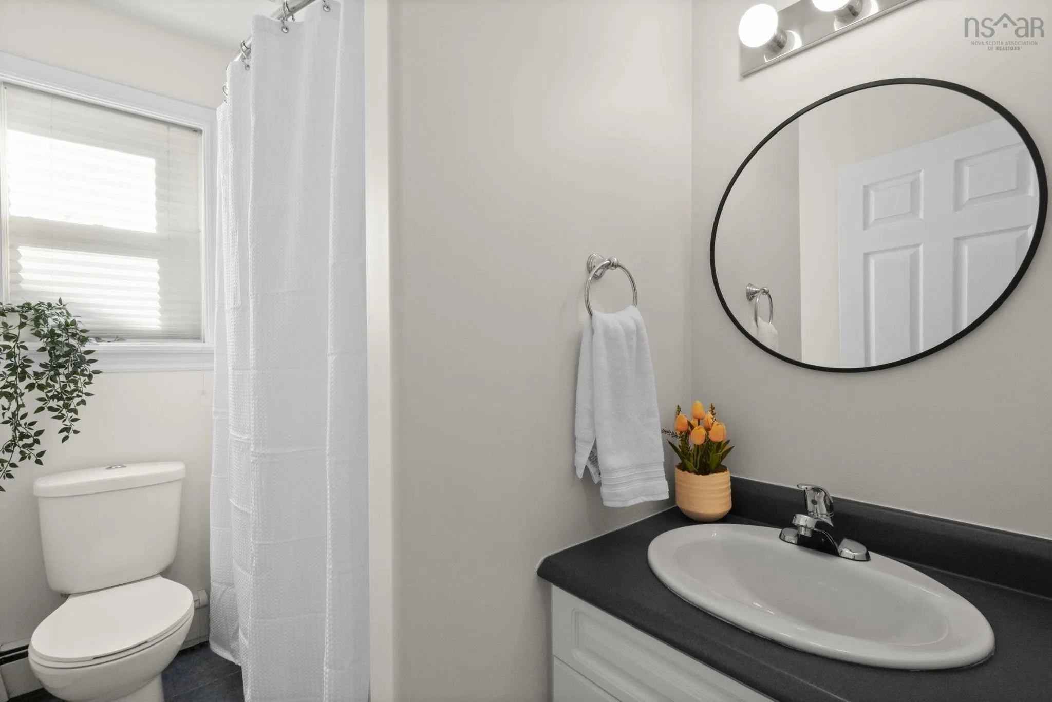 4 Carlina Court, Halifax, NS B3S 1N4, 4 Bedrooms Bedrooms, ,3 BathroomsBathrooms,Residential,For Sale,Carlina,202523082
