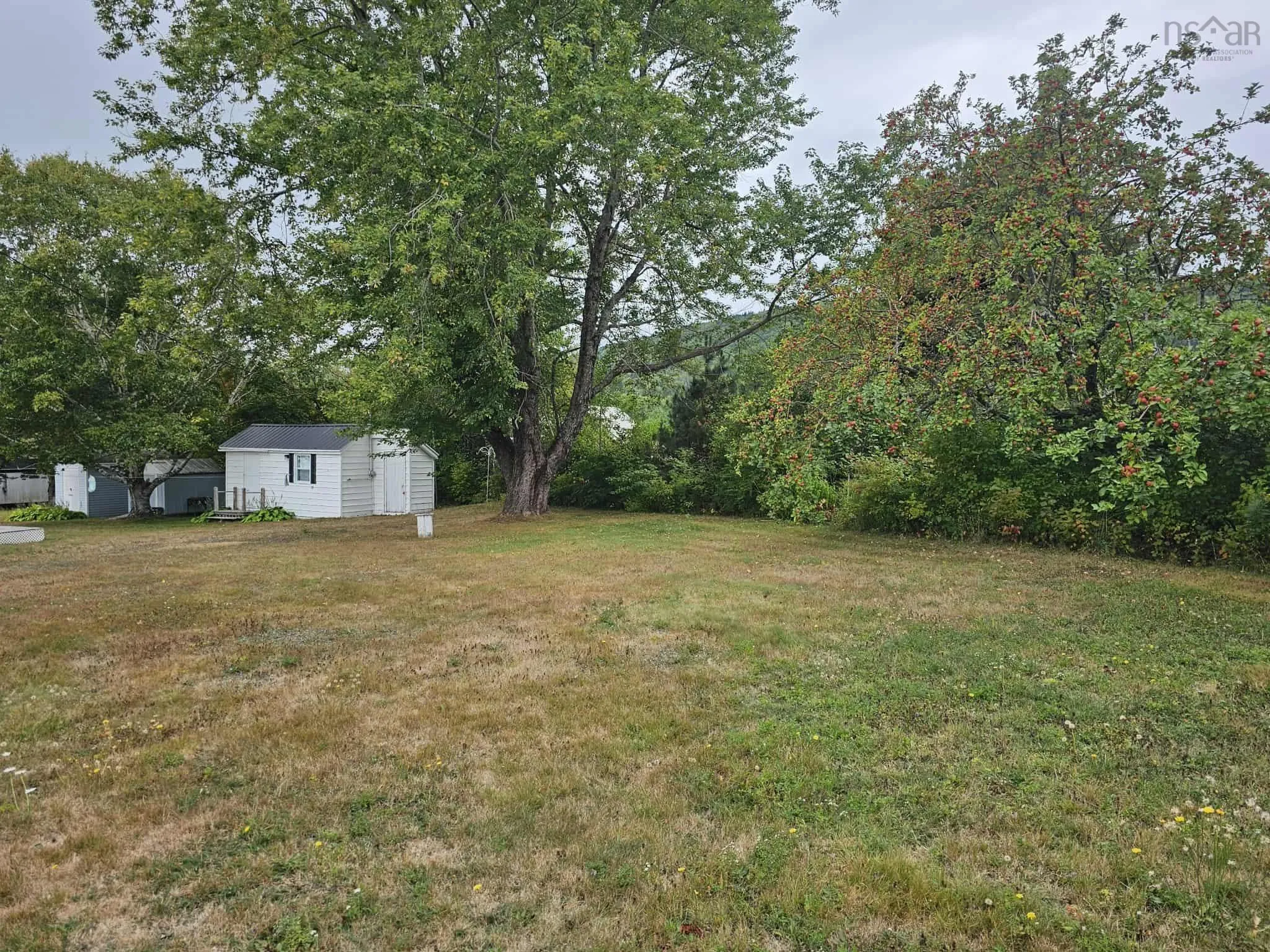12 Mountain View Drive, Lower Economy, NS B0M 1J0, 1 Bedroom Bedrooms, ,1 BathroomBathrooms,Residential,For Sale,Mountain View,202522711