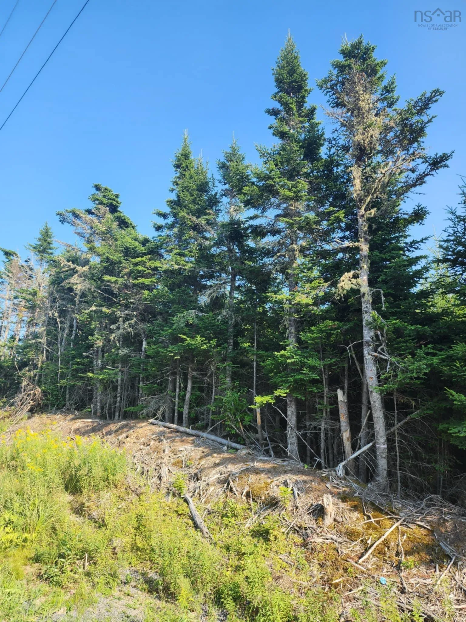 1062 Mines Road, West Petpeswick, NS B0J 2L0, ,Land,For Sale,Mines,202520477