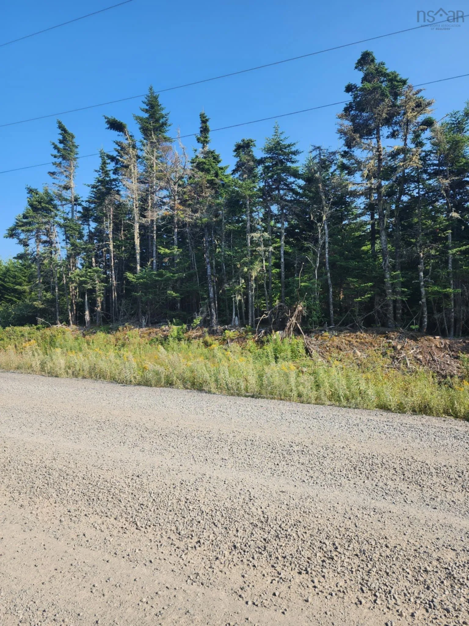 1062 Mines Road, West Petpeswick, NS B0J 2L0, ,Land,For Sale,Mines,202520477
