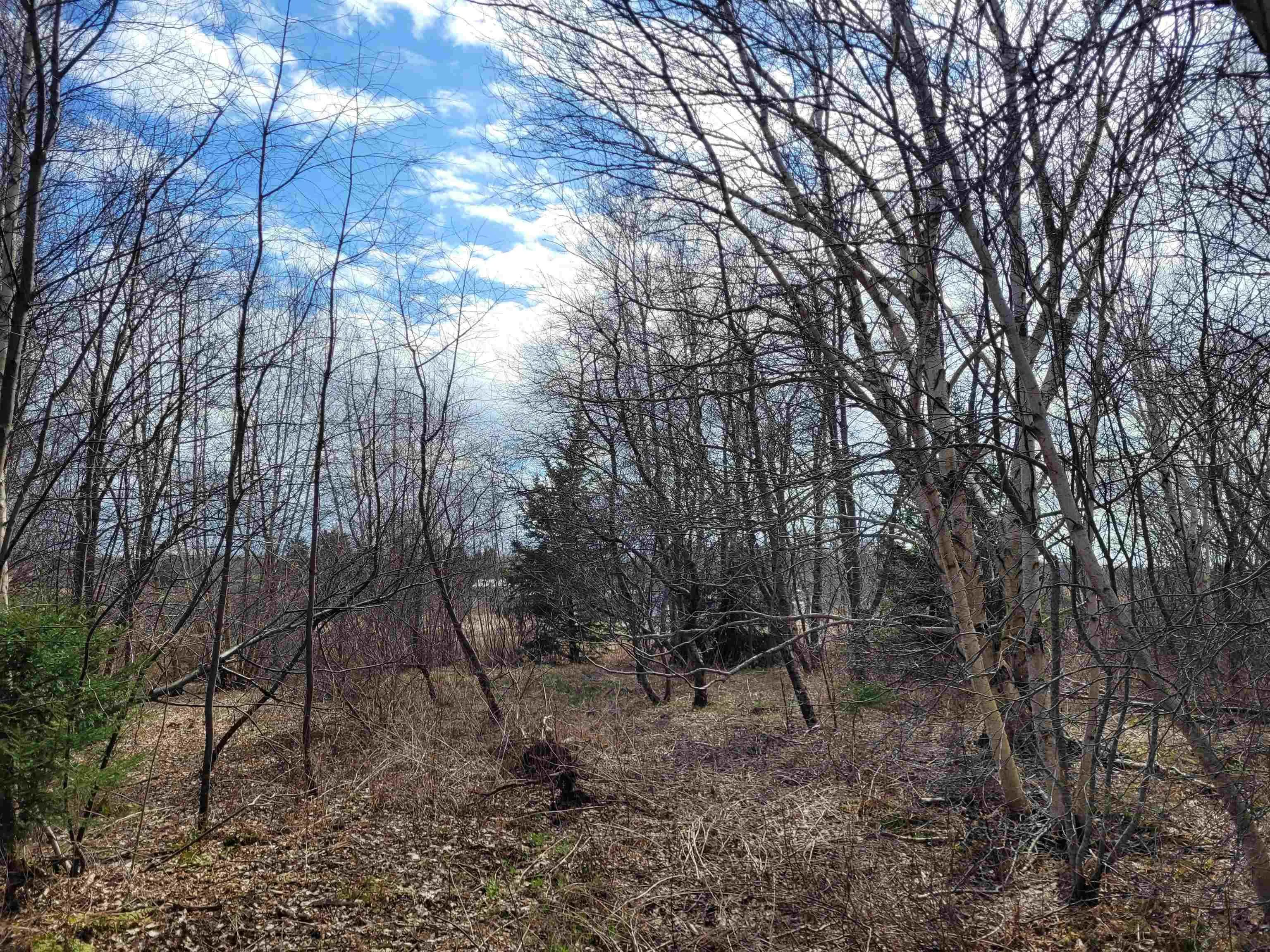 Wharf Road, Noel Ns B0n 2c0, ,Land,For Sale,Wharf,202508690