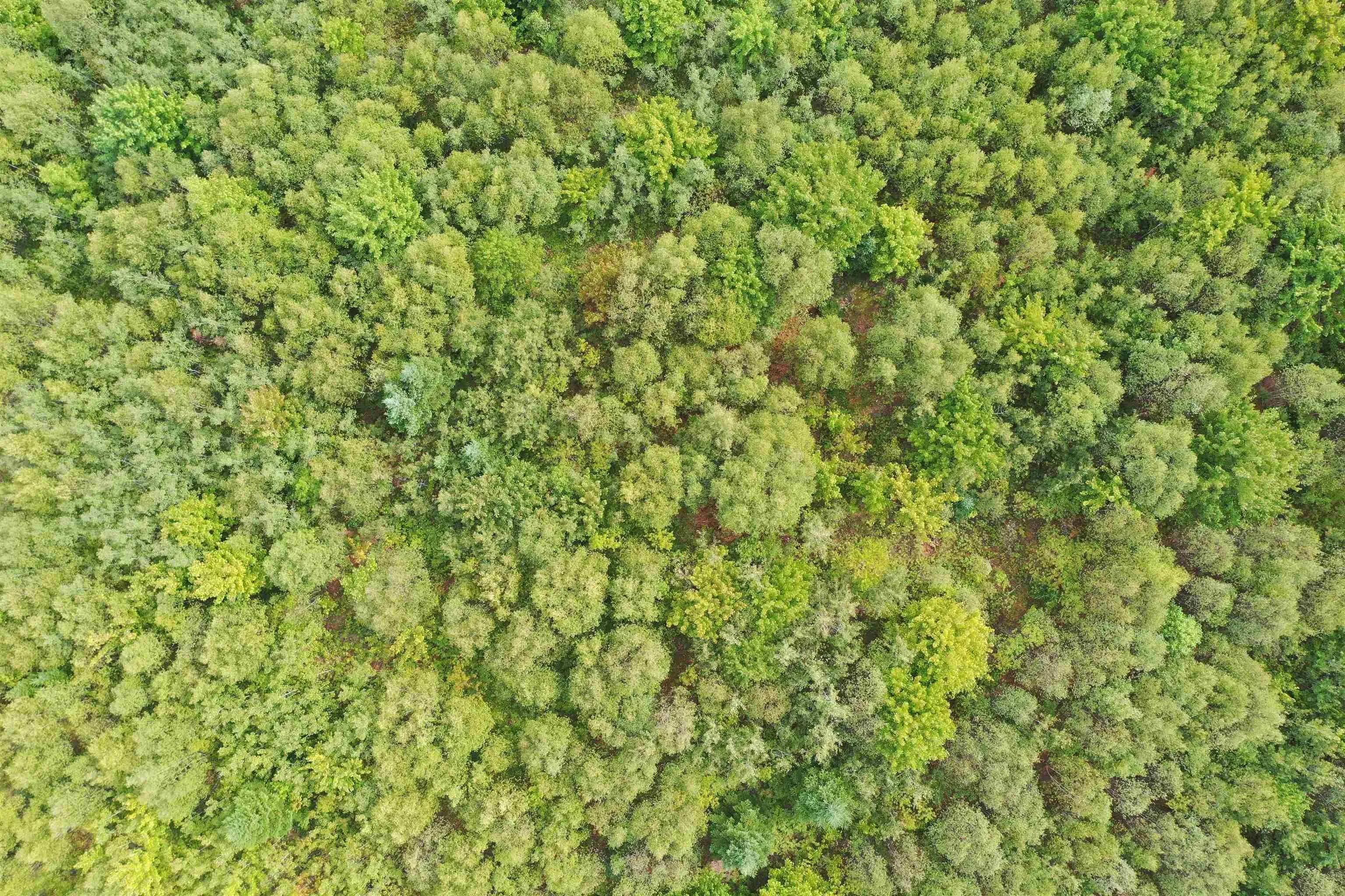19 Acres Wallace Road, Hazel Glen, NS B0K 2A0, ,Land,For Sale,Wallace,202522846