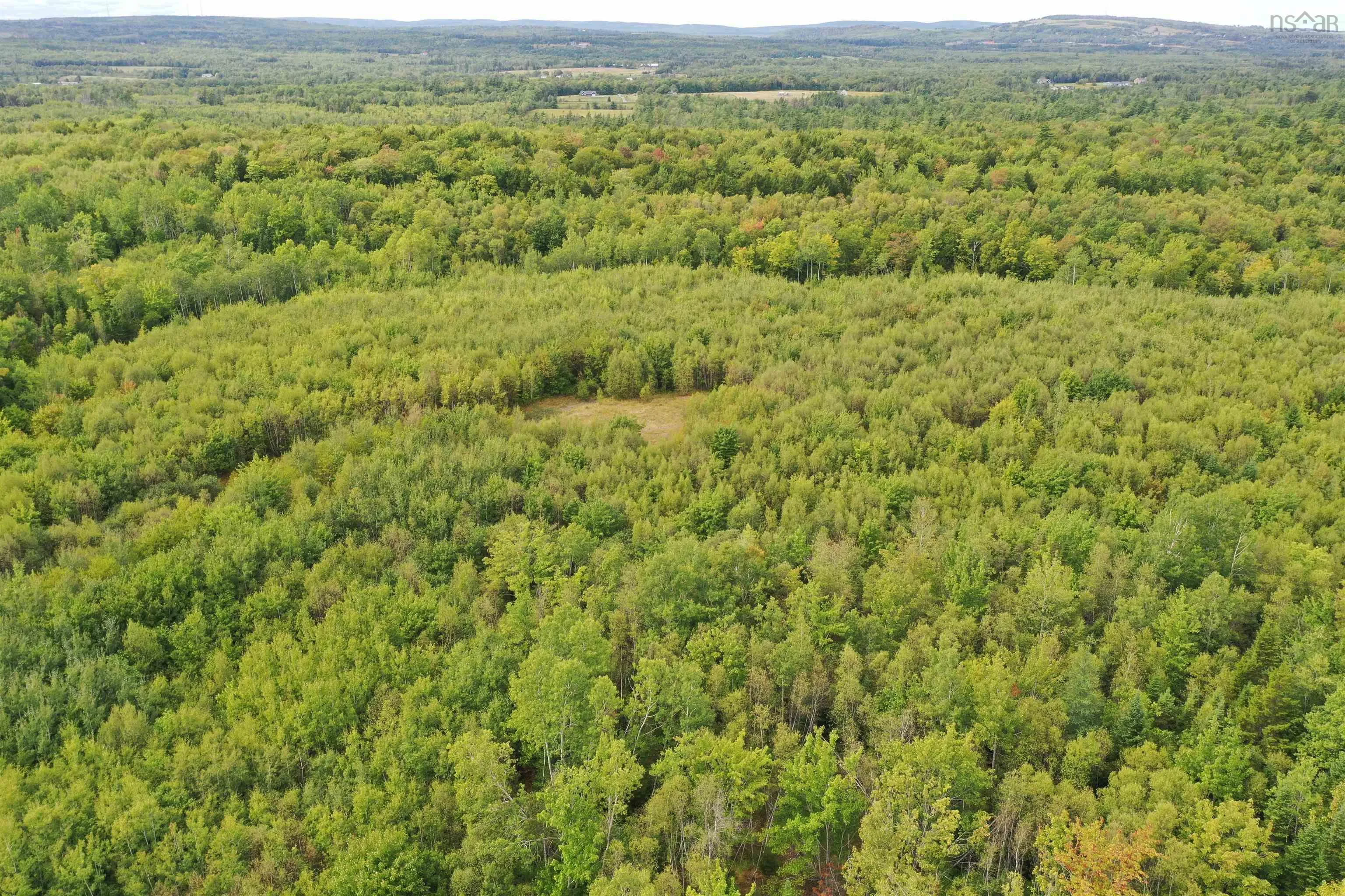 19 Acres Wallace Road, Hazel Glen, NS B0K 2A0, ,Land,For Sale,Wallace,202522846