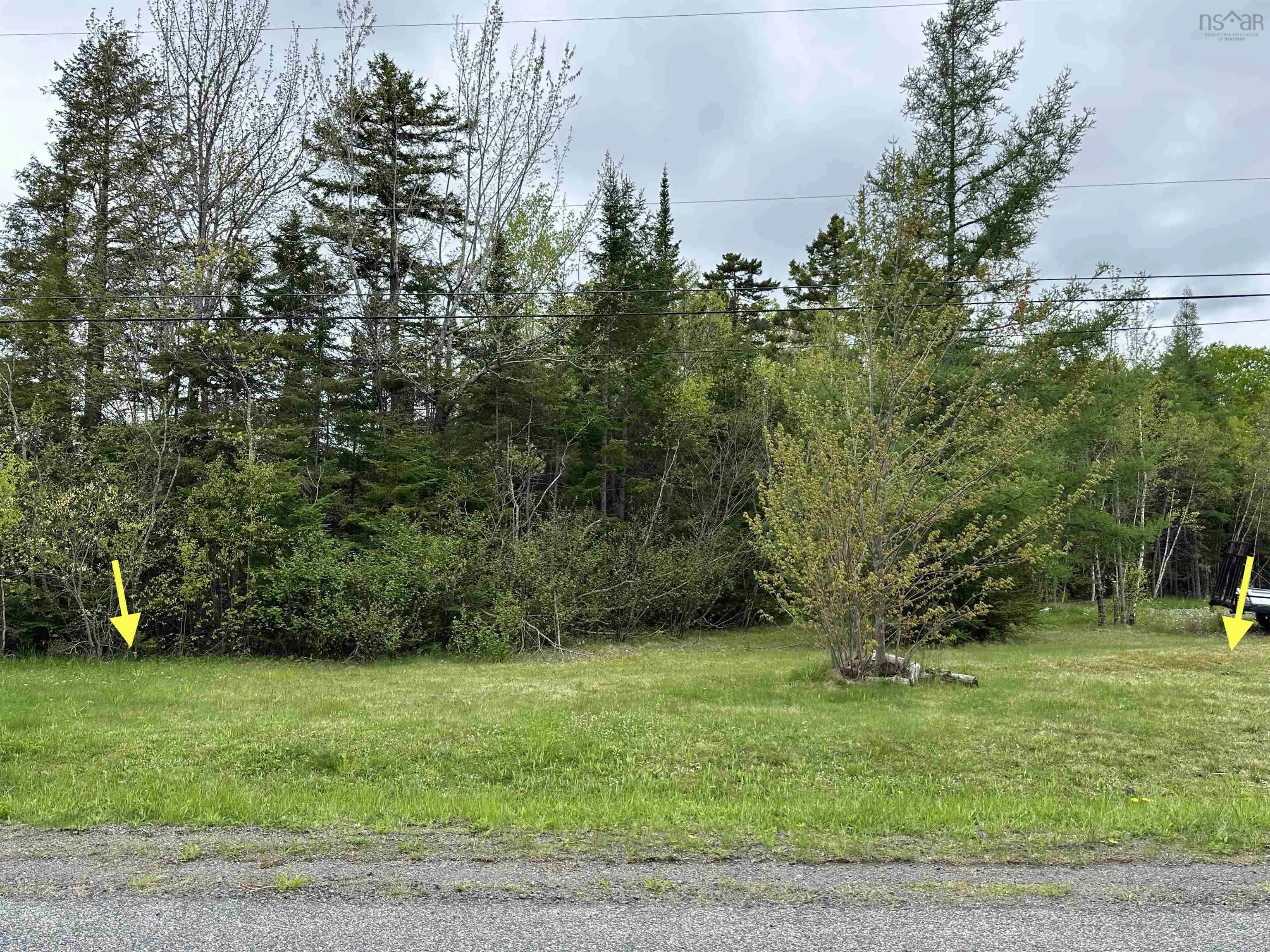 19 Acres Wallace Road, Hazel Glen, NS B0K 2A0, ,Land,For Sale,Wallace,202522846