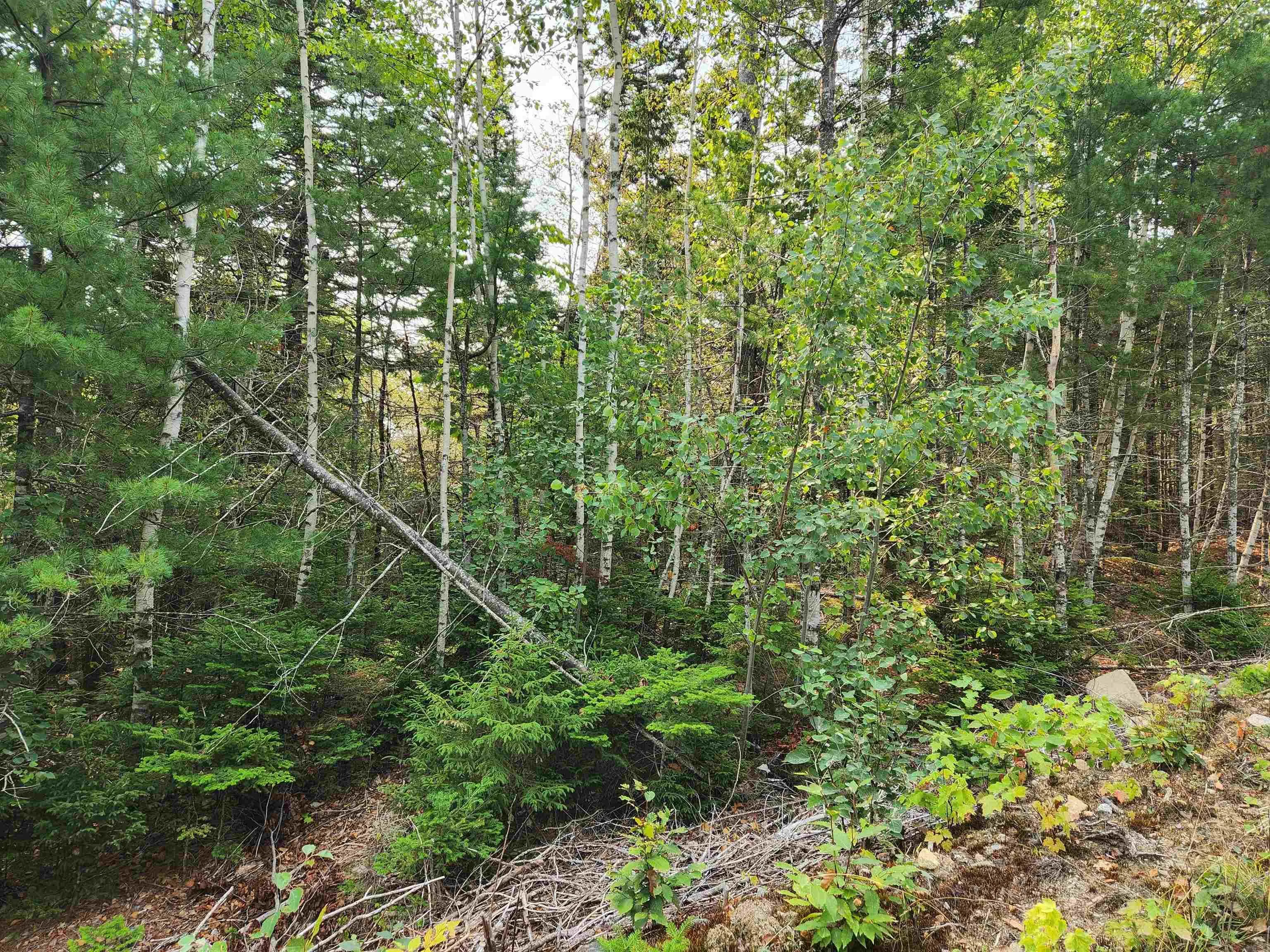 Turner Point Crossover Lot 70, Walden, NS B0J 2E0, ,Land,For Sale,Turner Point Crossover,202522698