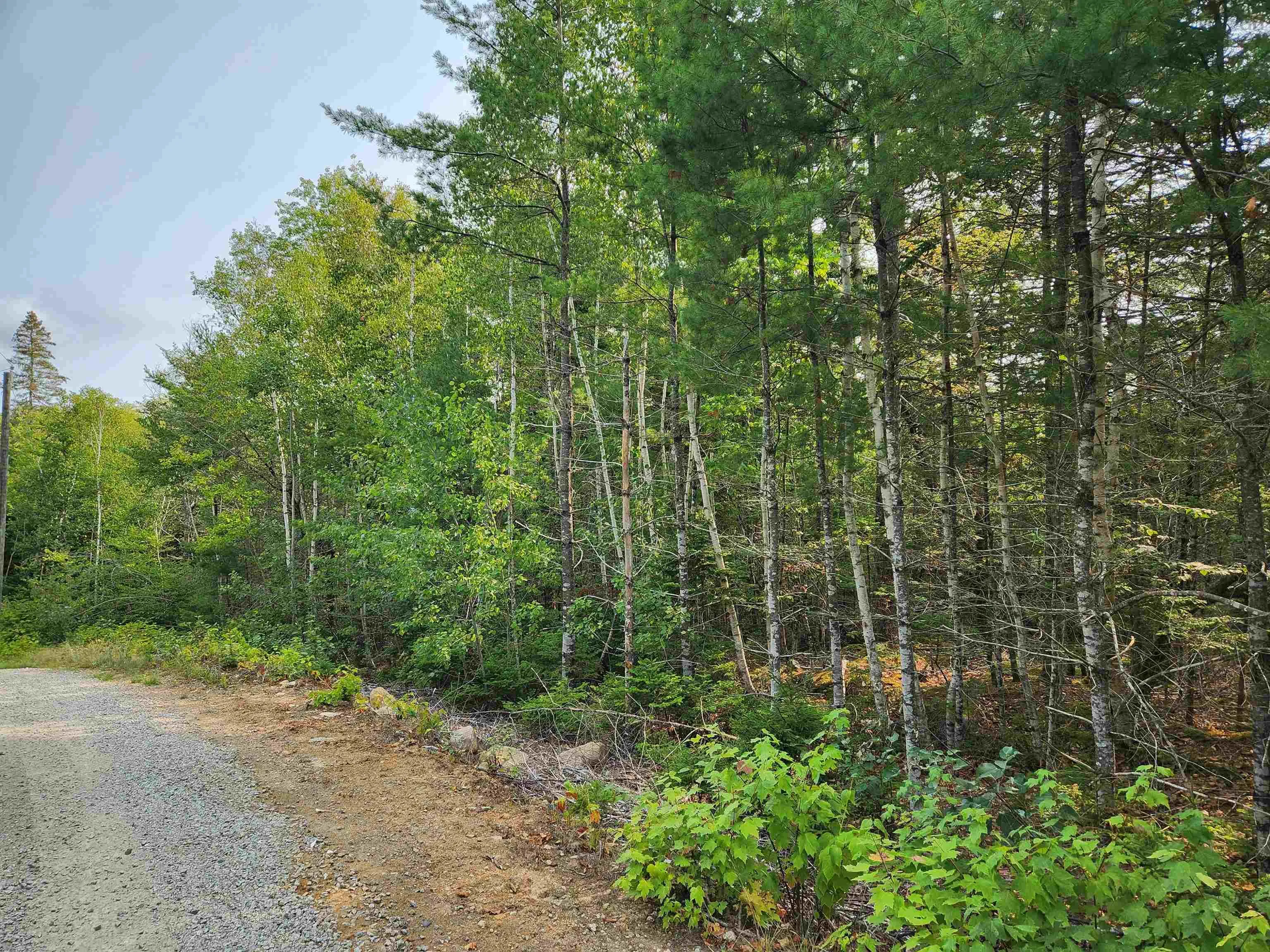 Turner Point Crossover Lot 70, Walden, NS B0J 2E0, ,Land,For Sale,Turner Point Crossover,202522698