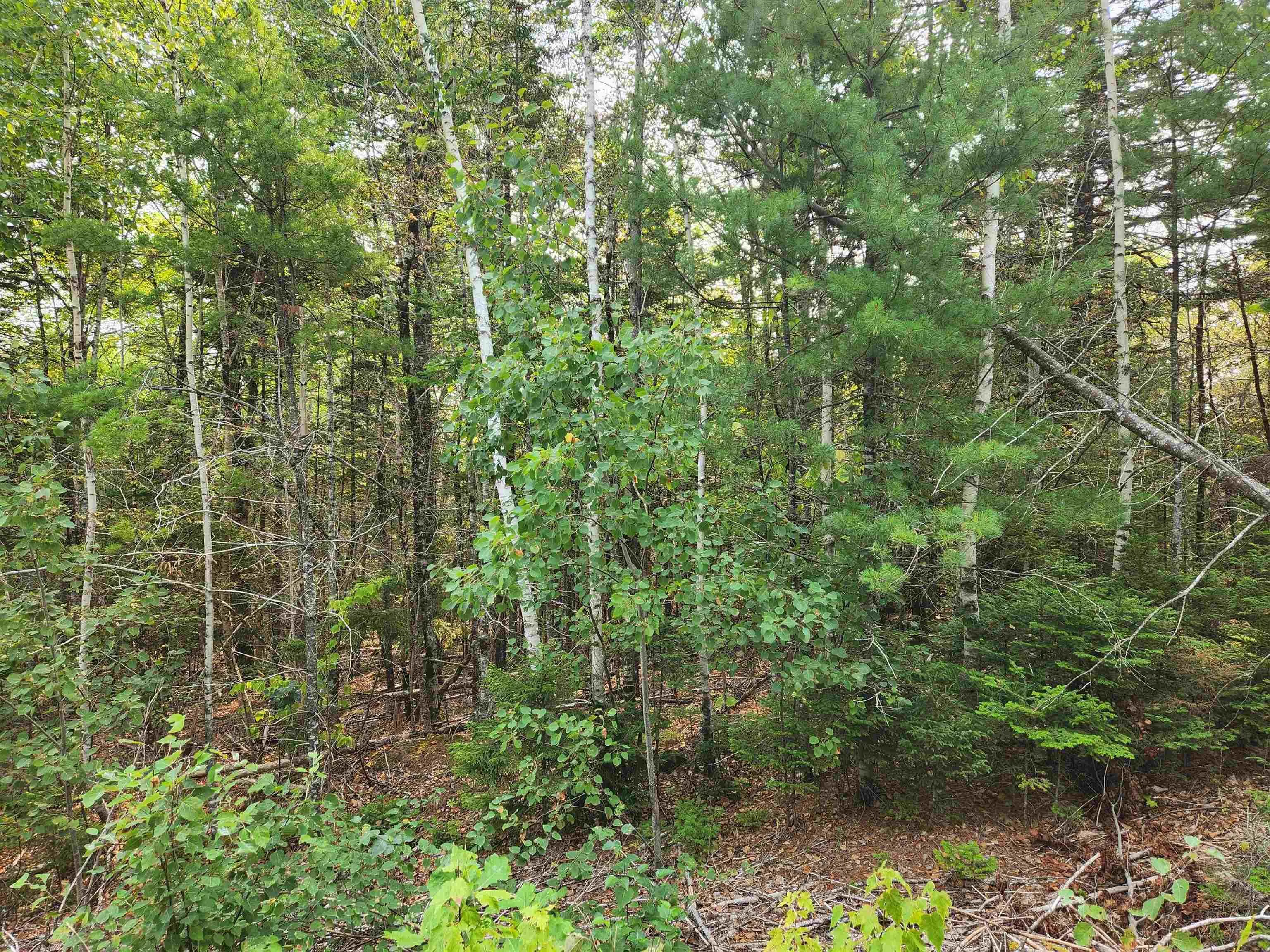 Turner Point Crossover Lot 70, Walden, NS B0J 2E0, ,Land,For Sale,Turner Point Crossover,202522698