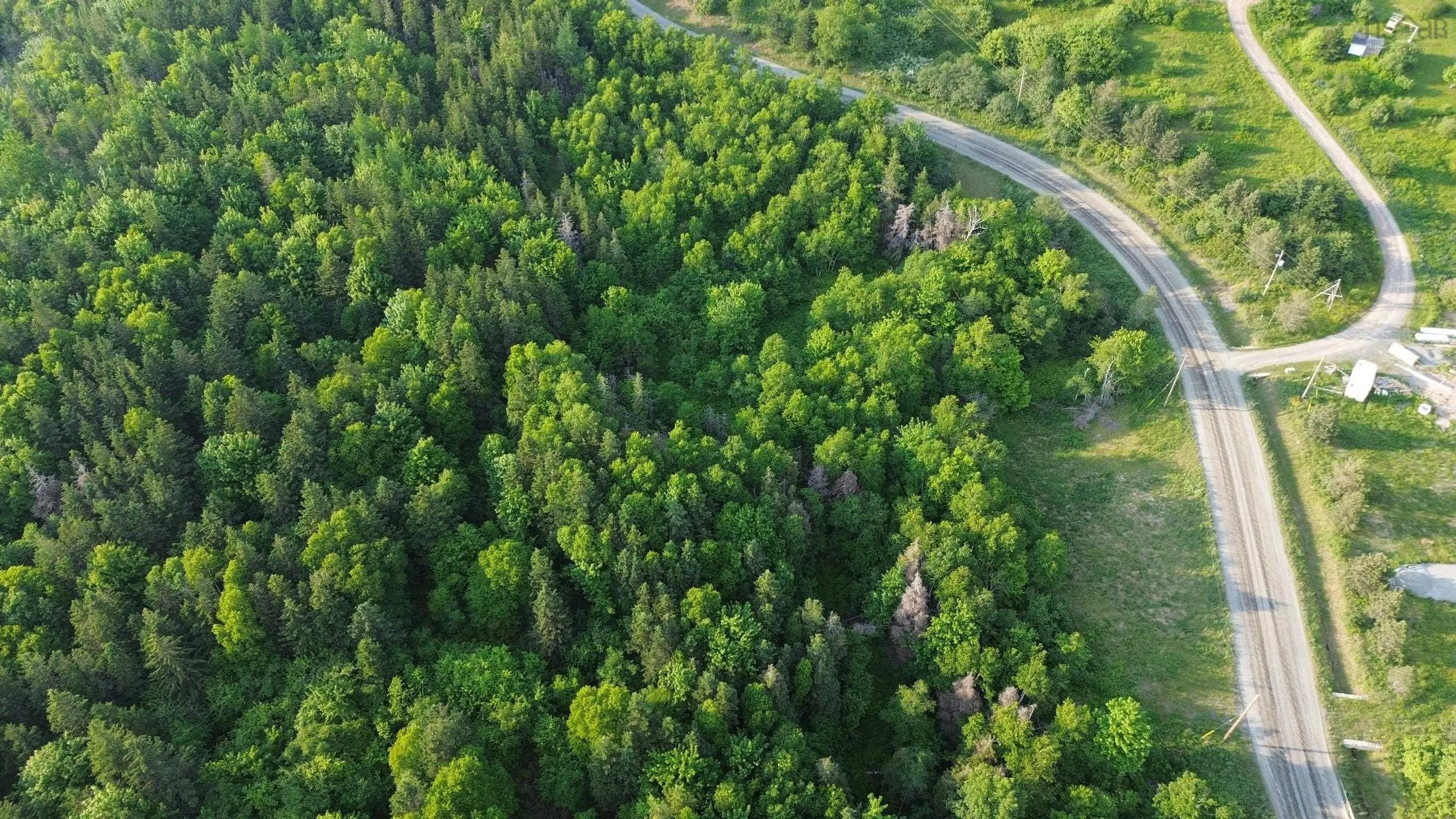 Mabou Mines Road, Mabou Harbour Ns B0e 1x0, ,Land,For Sale,Mabou Mines,202413447