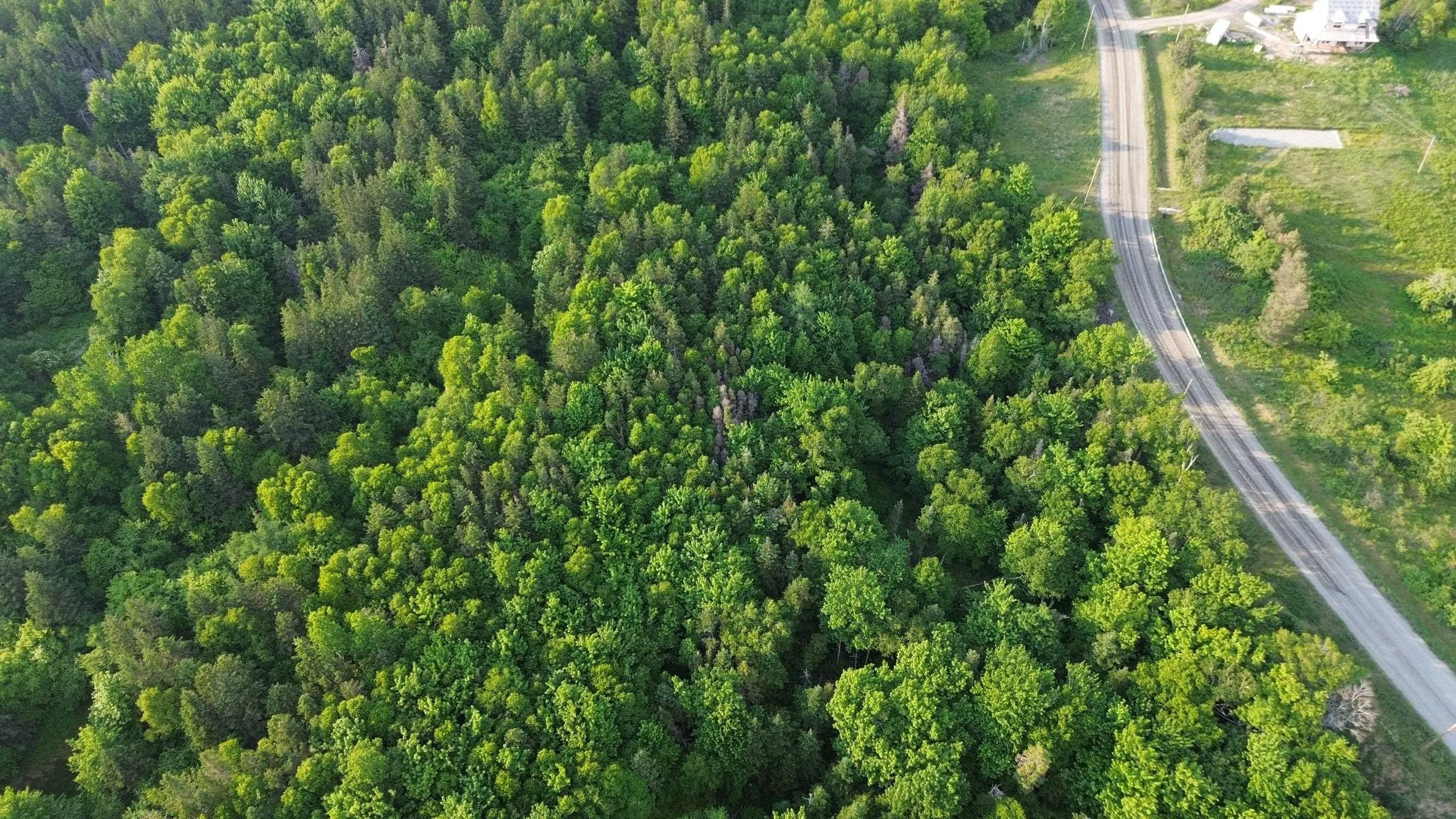 Mabou Mines Road, Mabou Harbour Ns B0e 1x0, ,Land,For Sale,Mabou Mines,202413447