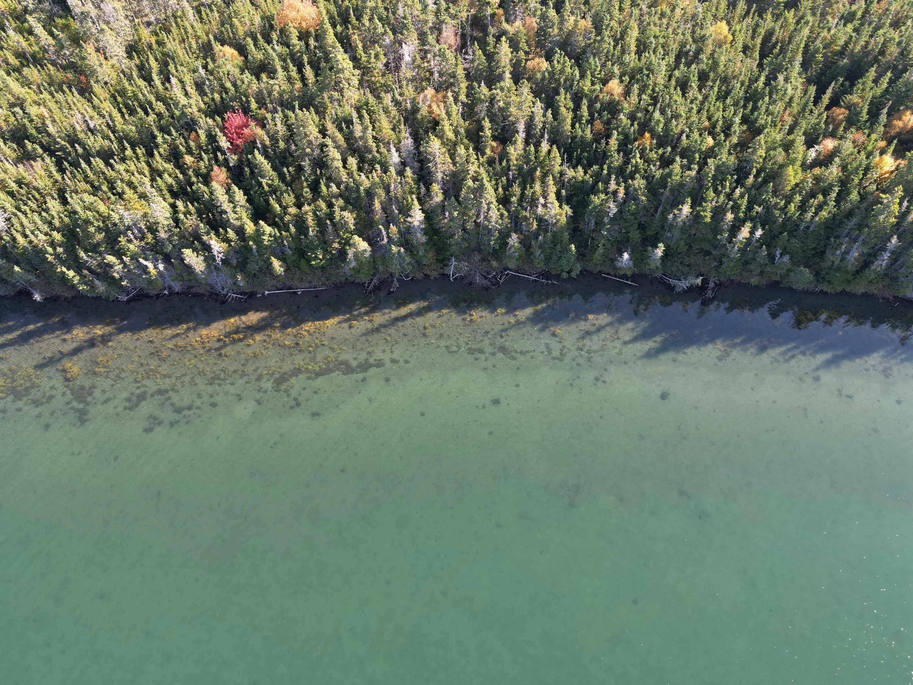 Mariner Way Lot 17b, South River Bourgeois Ns B0e 2x0, ,Land,For Sale,Mariner,202425686