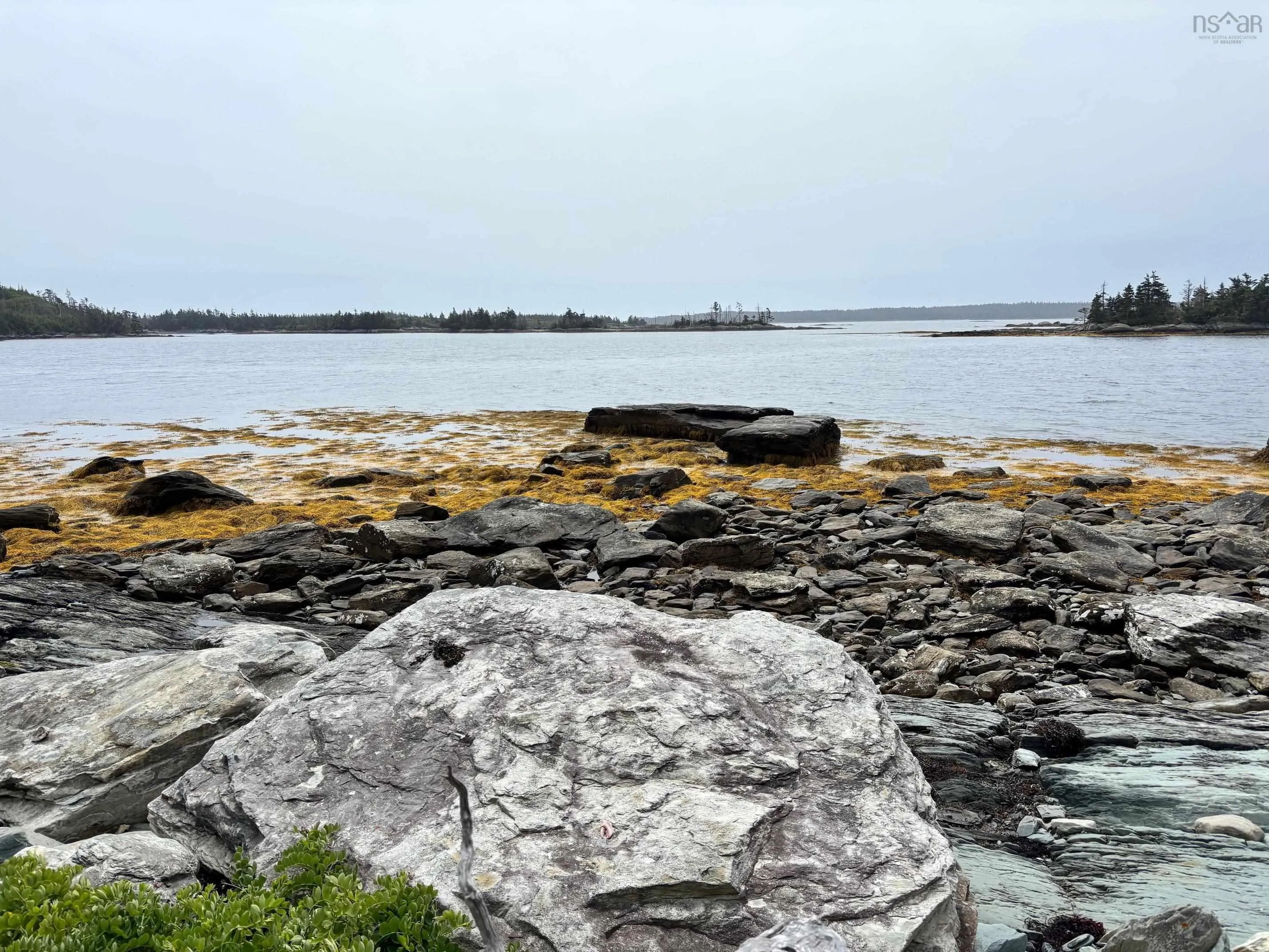 Hawbolts Island, Mitchell Bay Ns B0j 2k0, 1 Bedroom Bedrooms, ,Residential,For Sale,Hawbolts,202424210