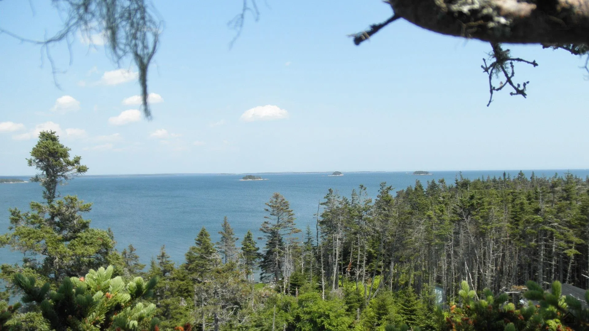 Hawbolts Island, Mitchell Bay Ns B0j 2k0, 1 Bedroom Bedrooms, ,Residential,For Sale,Hawbolts,202424210
