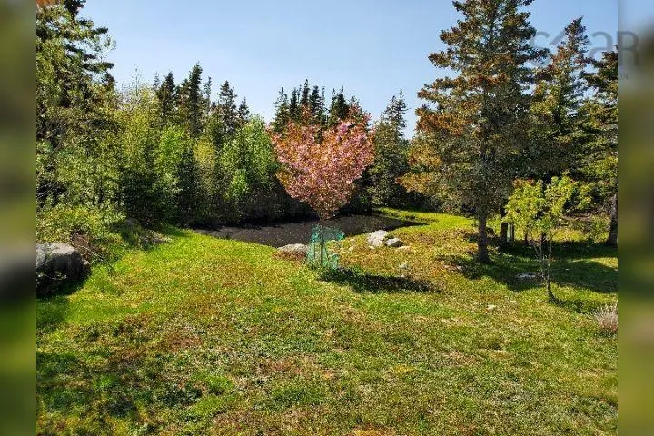 5226 Hwy #3, Shag Harbour Ns B0w 3b0, 3 Bedrooms Bedrooms, ,3 BathroomsBathrooms,Residential,For Sale,Hwy #3,202415918