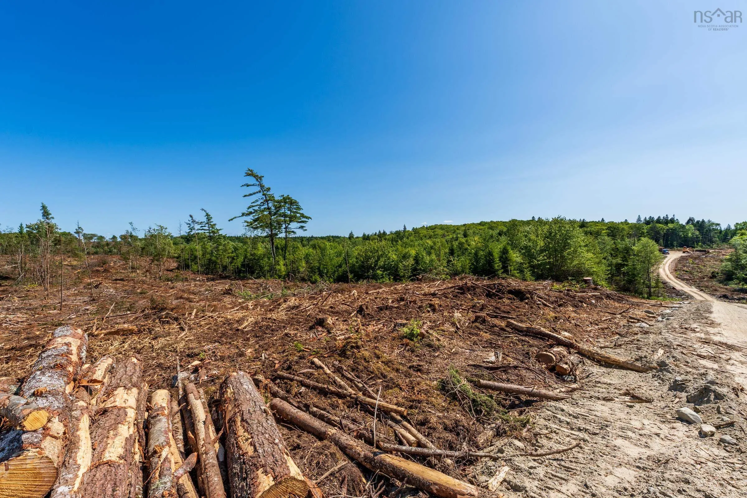 Lot Ticken Lake Road, Briar Lake, NS B0W 3T0, ,Land,For Sale,Ticken Lake Road,202518890