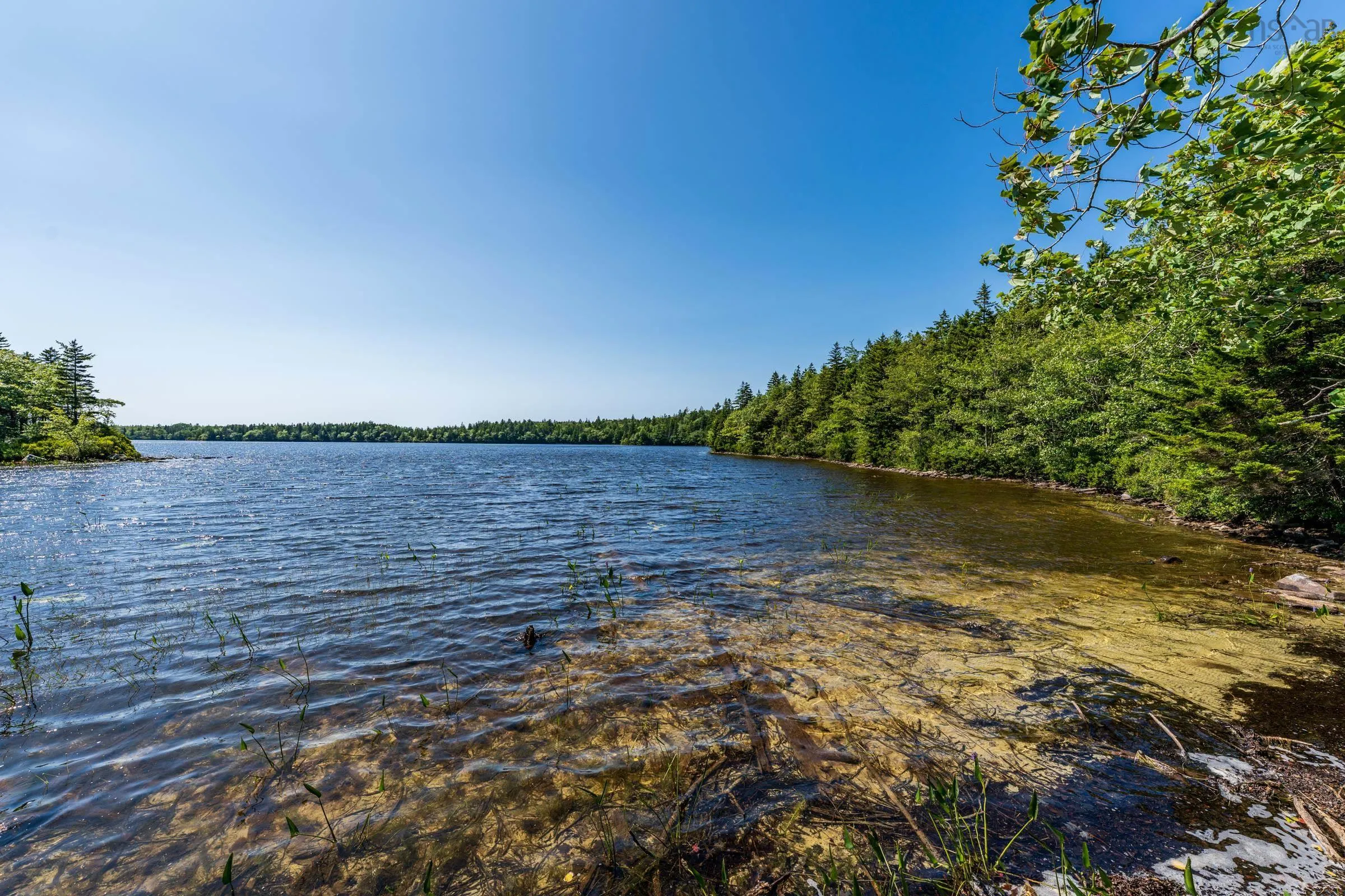 Lot Ticken Lake Road, Briar Lake, NS B0W 3T0, ,Land,For Sale,Ticken Lake Road,202518890