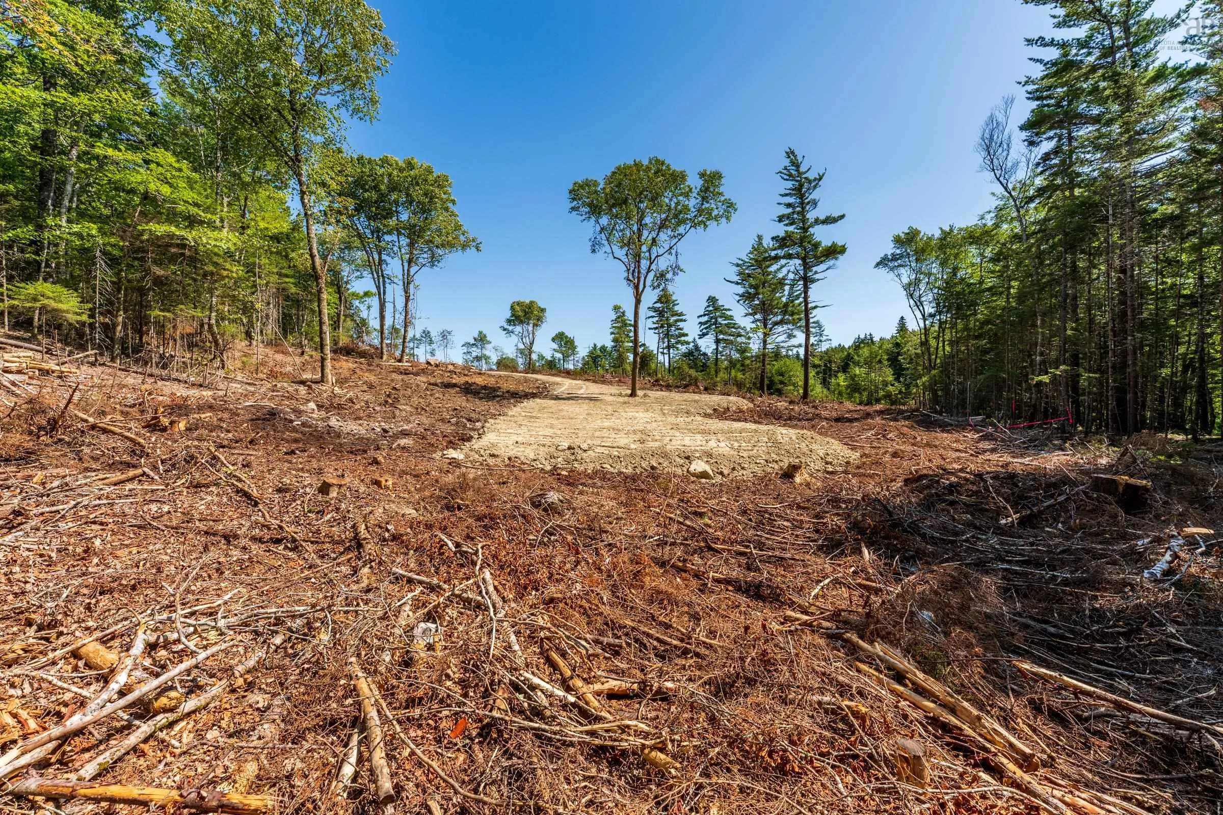 Lot Ticken Lake Road, Briar Lake, NS B0W 3T0, ,Land,For Sale,Ticken Lake Road,202518890