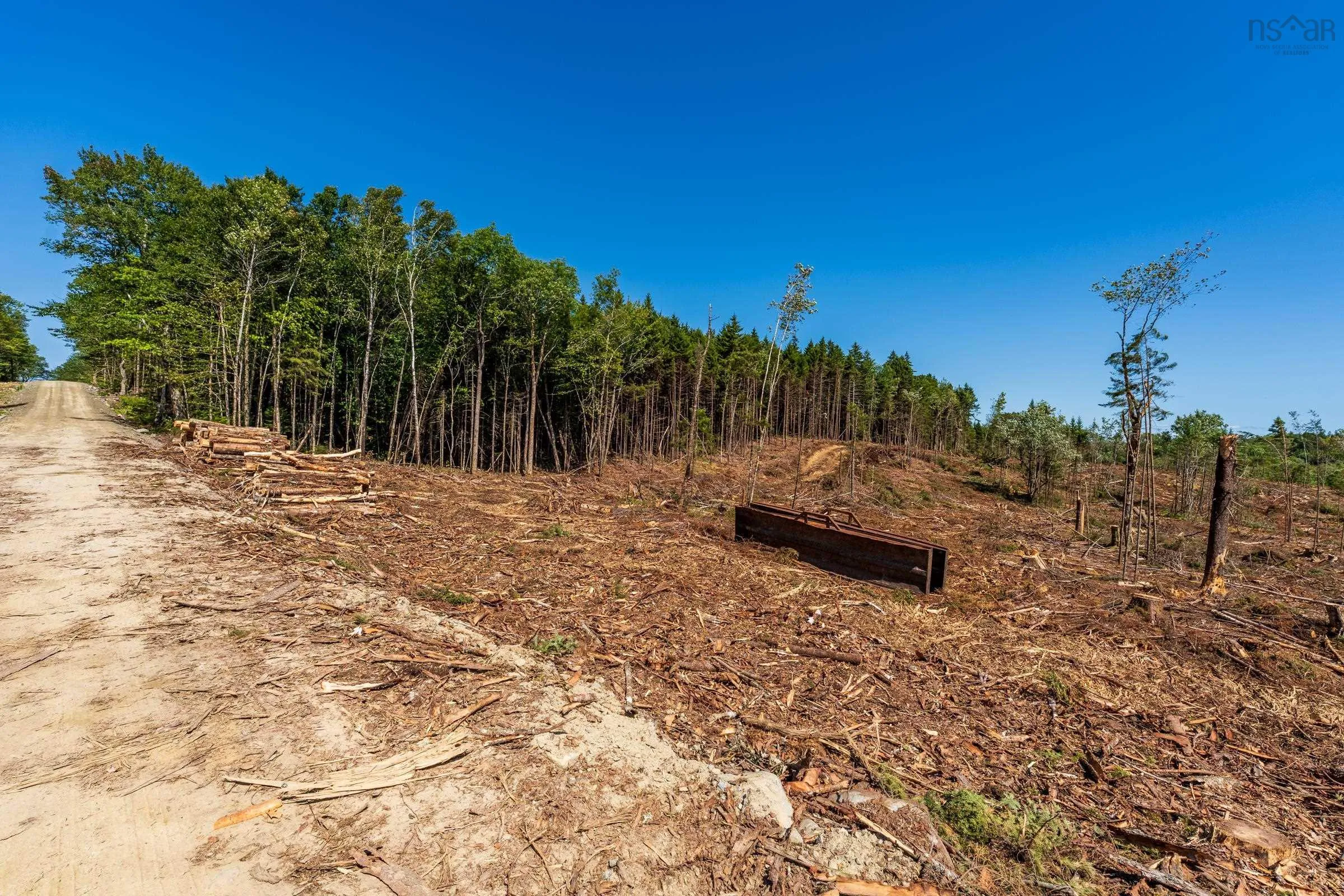 Lot Ticken Lake Road, Briar Lake, NS B0W 3T0, ,Land,For Sale,Ticken Lake Road,202518890