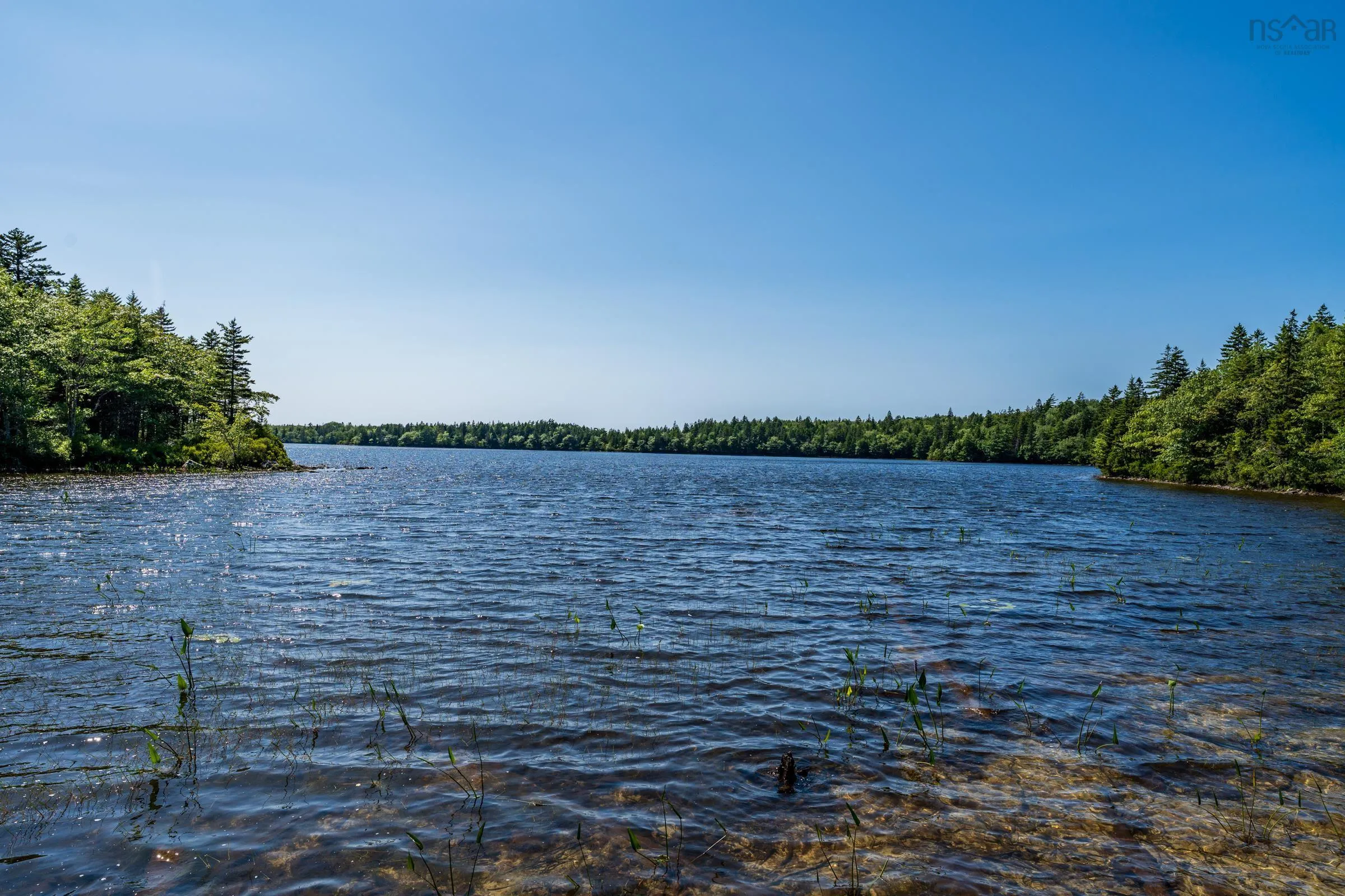 Lot Ticken Lake Road, Briar Lake, NS B0W 3T0, ,Land,For Sale,Ticken Lake Road,202518890