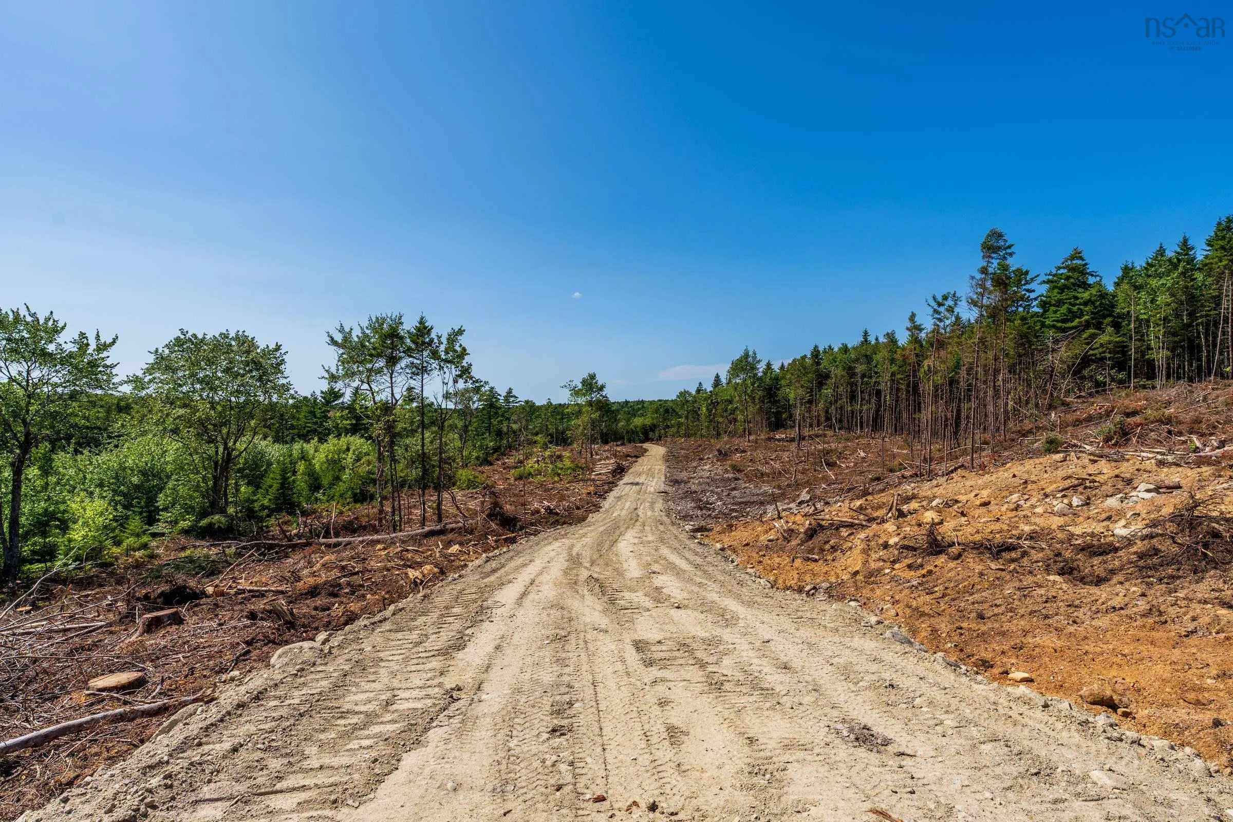 Lot Ticken Lake Road, Briar Lake, NS B0W 3T0, ,Land,For Sale,Ticken Lake Road,202518890