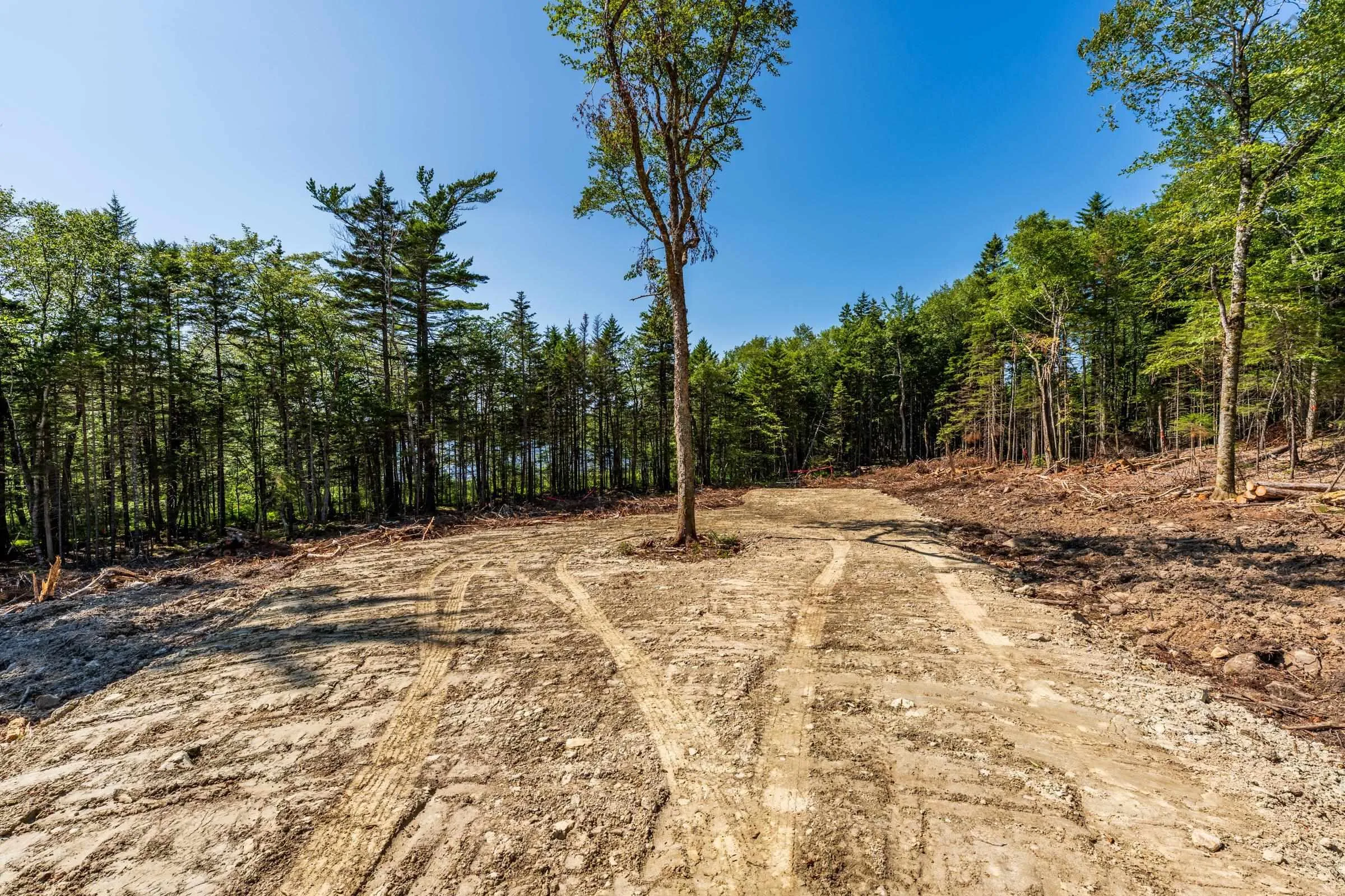 Lot Ticken Lake Road, Briar Lake, NS B0W 3T0, ,Land,For Sale,Ticken Lake Road,202518890