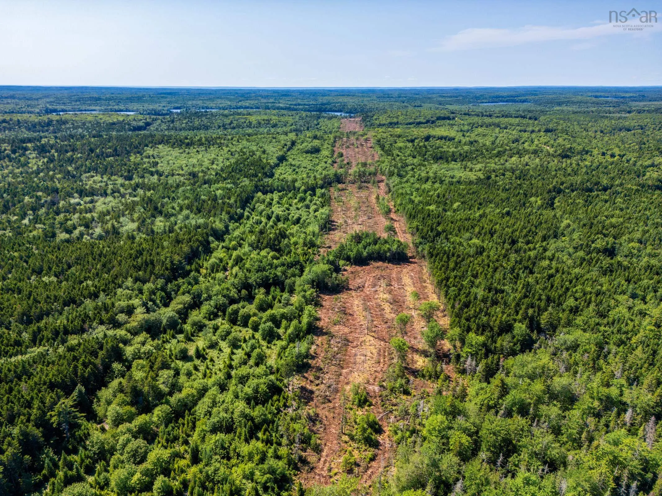 Lot Ticken Lake Road, Briar Lake, NS B0W 3T0, ,Land,For Sale,Ticken Lake Road,202518890