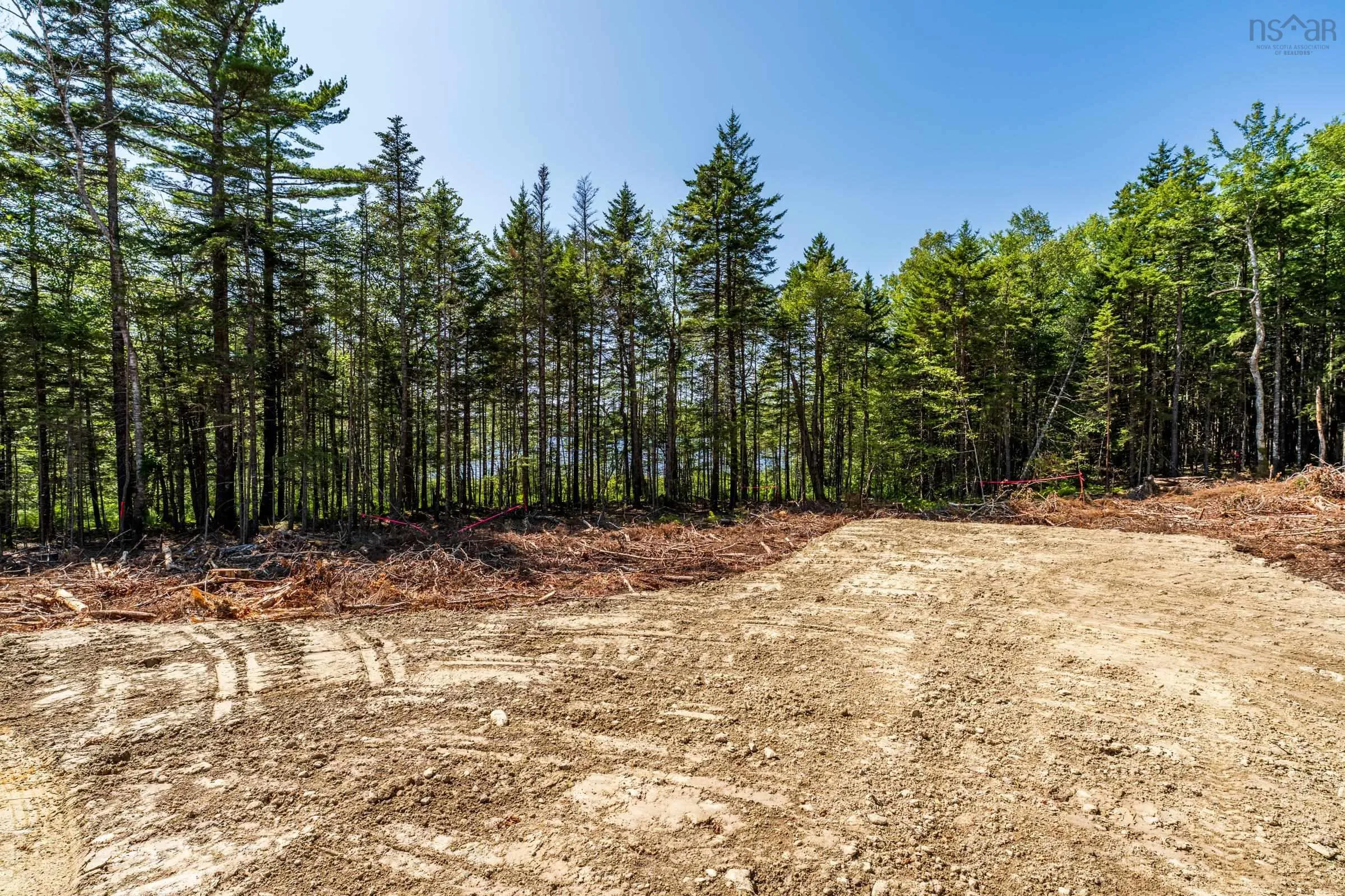 Lot Ticken Lake Road, Briar Lake, NS B0W 3T0, ,Land,For Sale,Ticken Lake Road,202518890