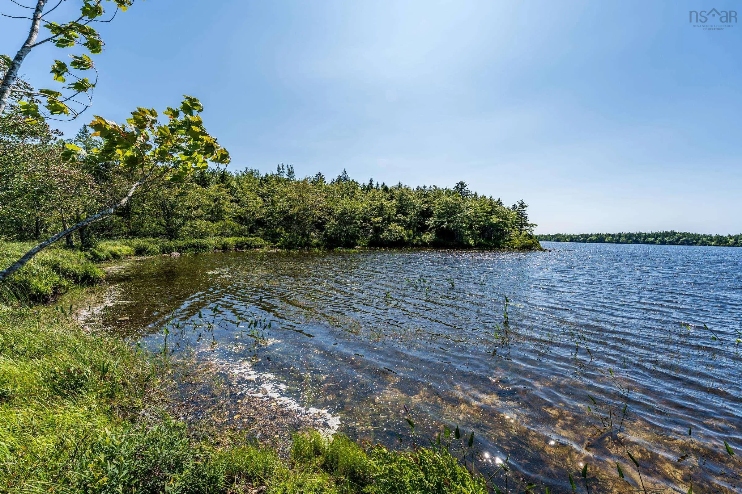 Lot Ticken Lake Road, Briar Lake, NS B0W 3T0, ,Land,For Sale,Ticken Lake Road,202518890