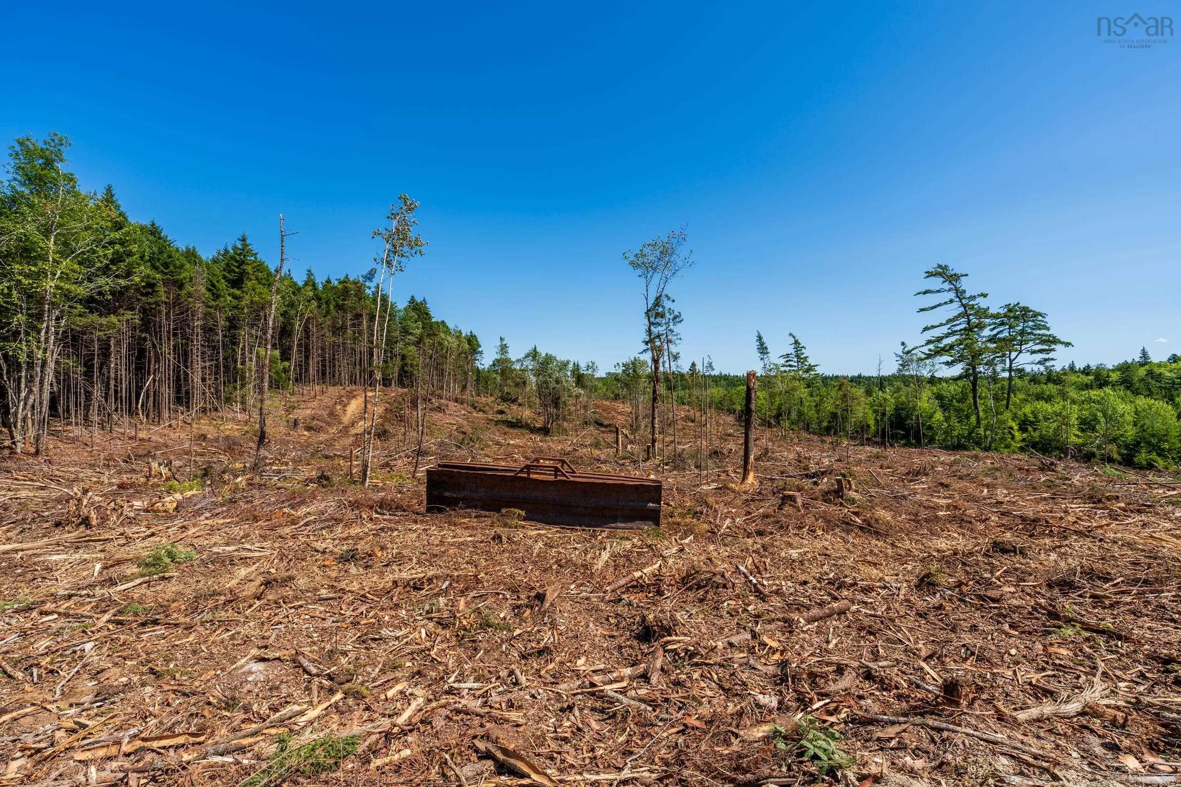 Lot Ticken Lake Road, Briar Lake, NS B0W 3T0, ,Land,For Sale,Ticken Lake Road,202518890