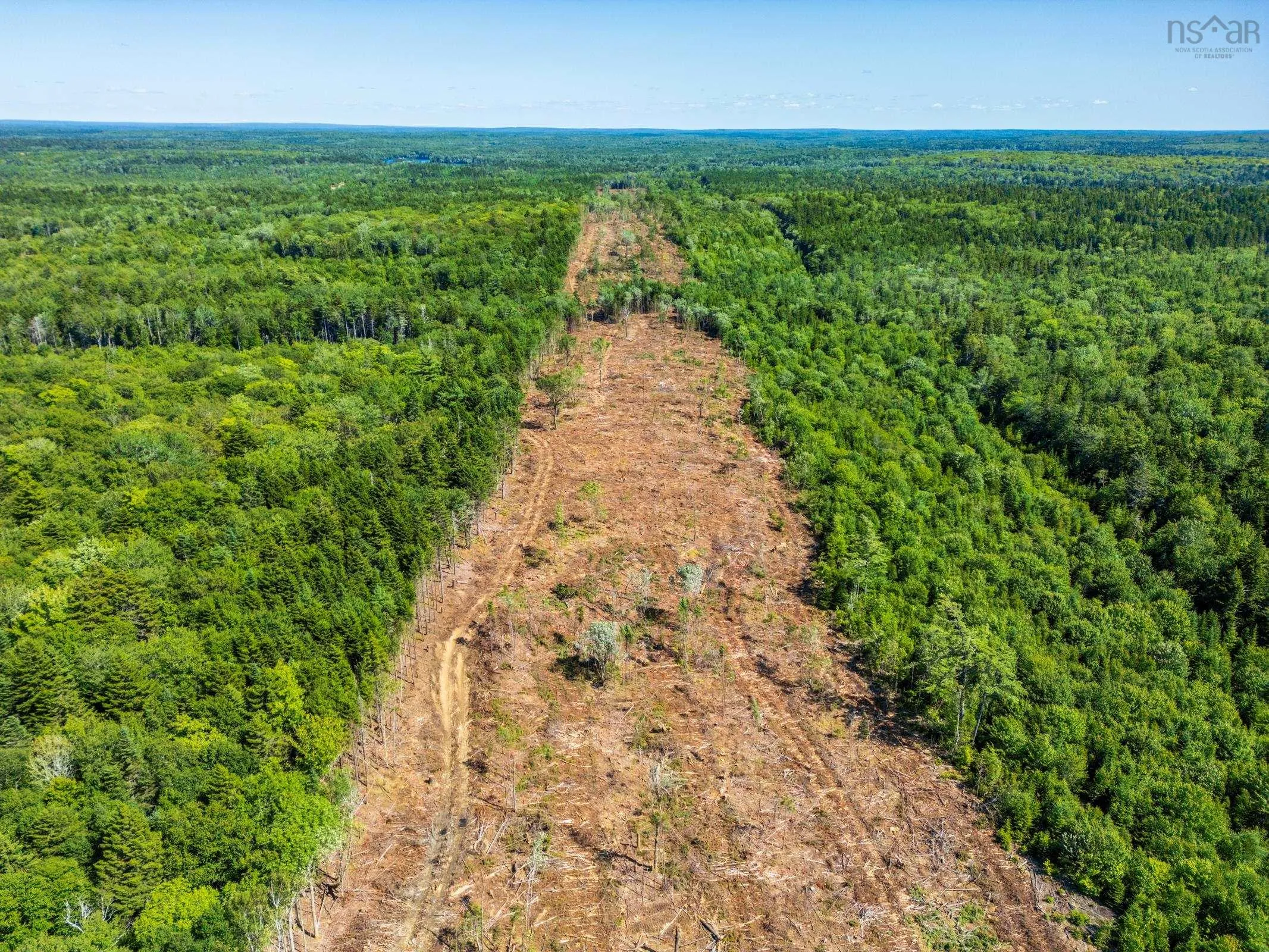 Lot Ticken Lake Road, Briar Lake, NS B0W 3T0, ,Land,For Sale,Ticken Lake Road,202518890