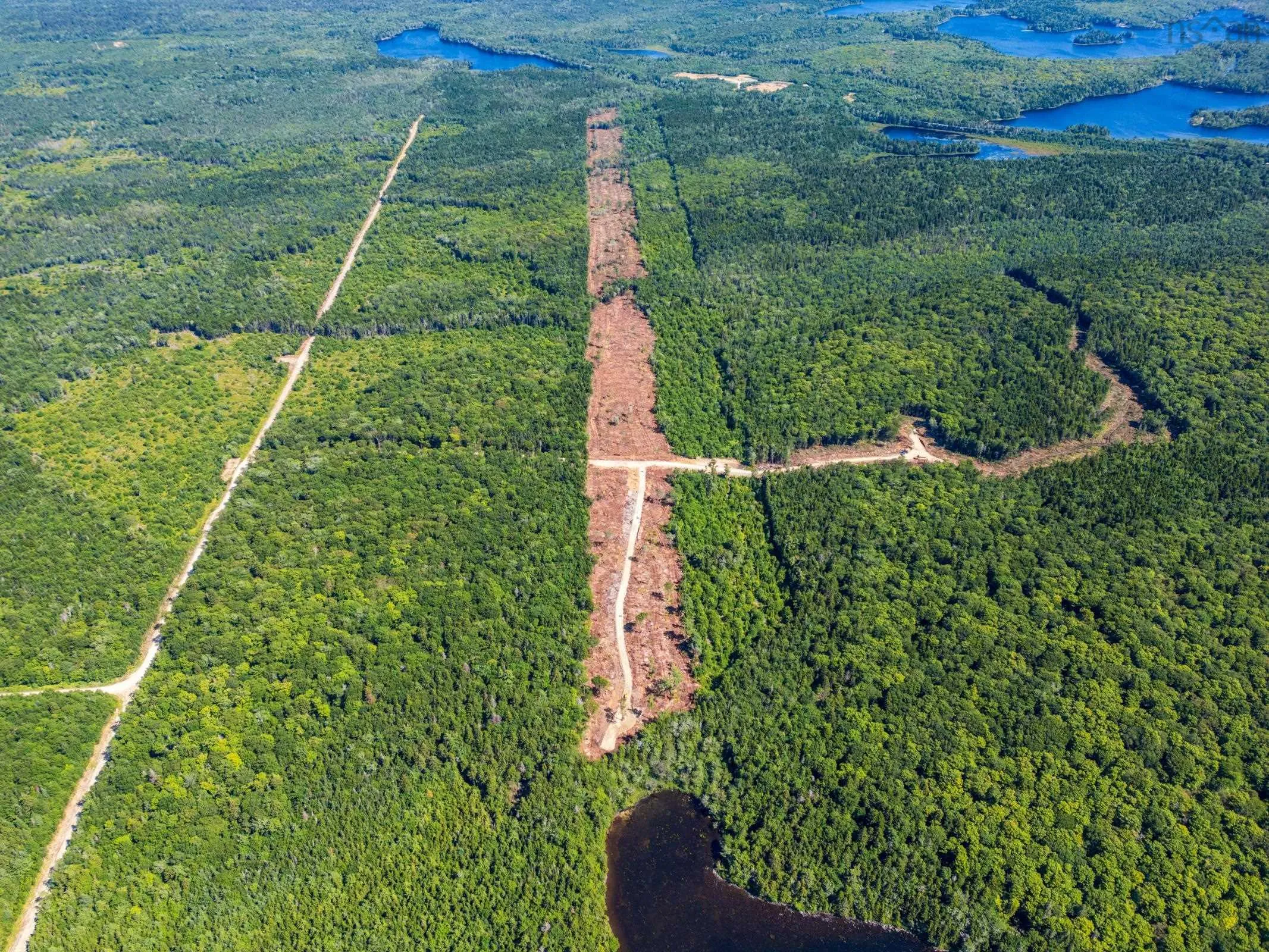 Lot Ticken Lake Road, Briar Lake, NS B0W 3T0, ,Land,For Sale,Ticken Lake Road,202518890