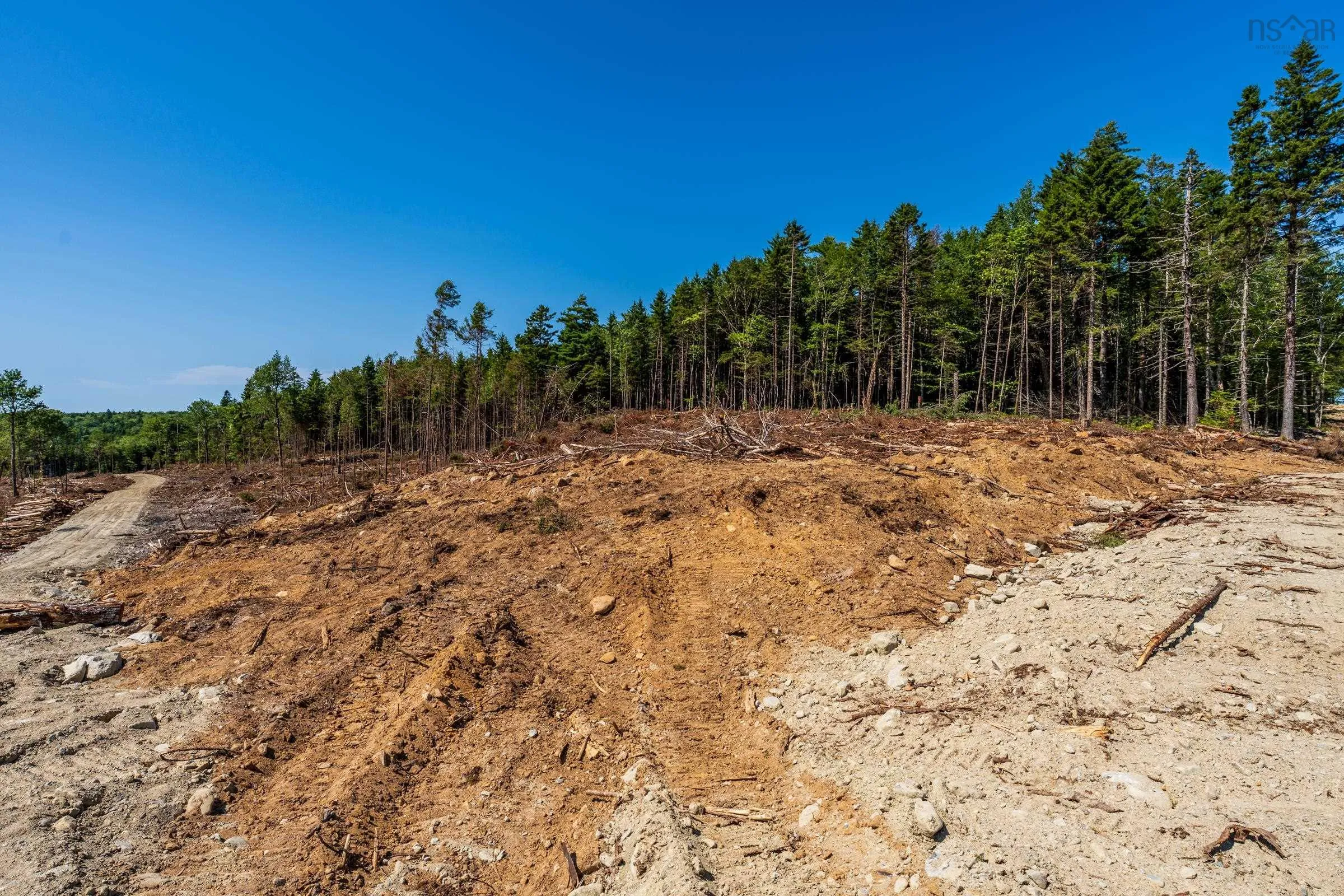 Lot Ticken Lake Road, Briar Lake, NS B0W 3T0, ,Land,For Sale,Ticken Lake Road,202518890