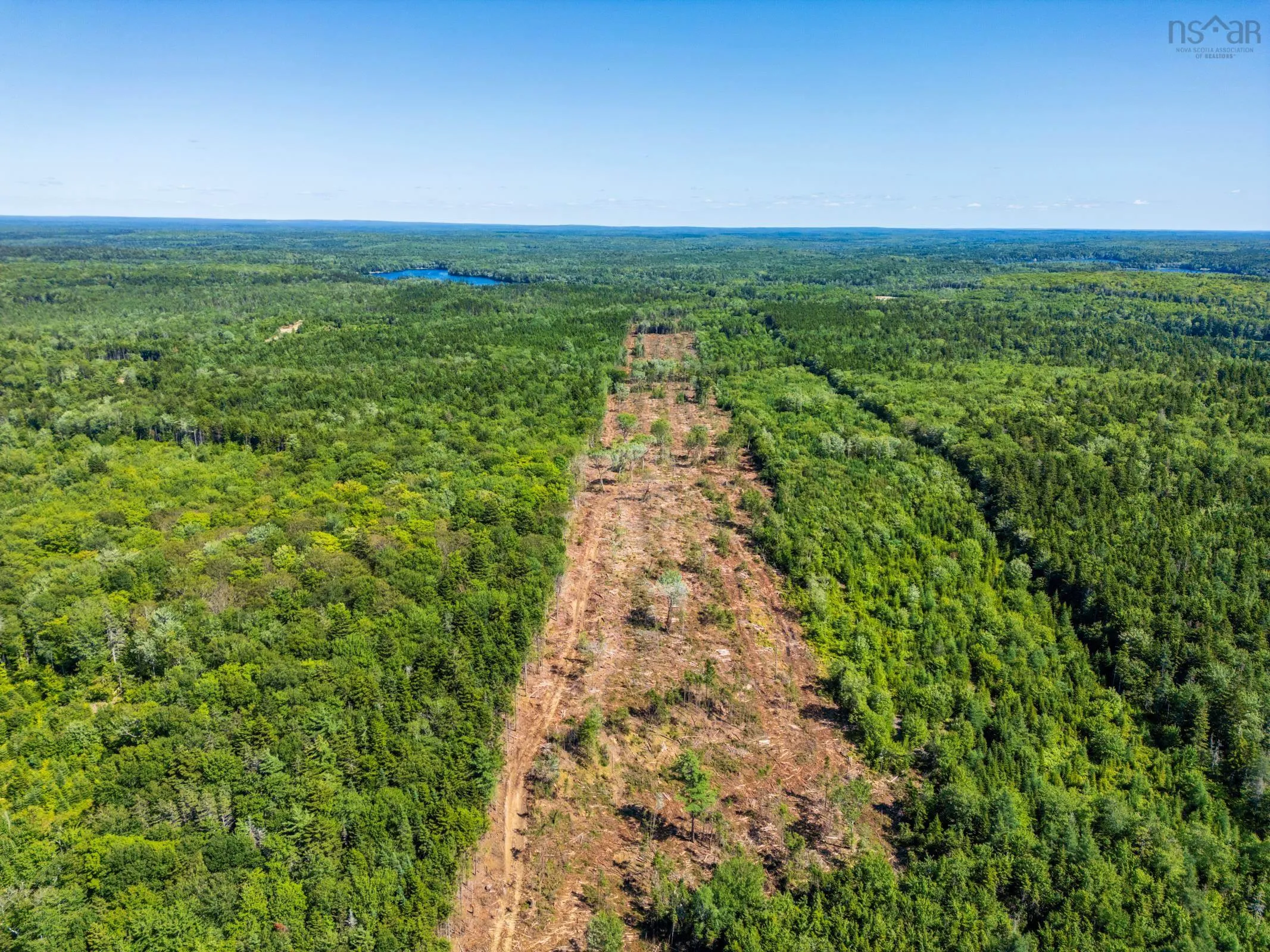 Lot Ticken Lake Road, Briar Lake, NS B0W 3T0, ,Land,For Sale,Ticken Lake Road,202518890