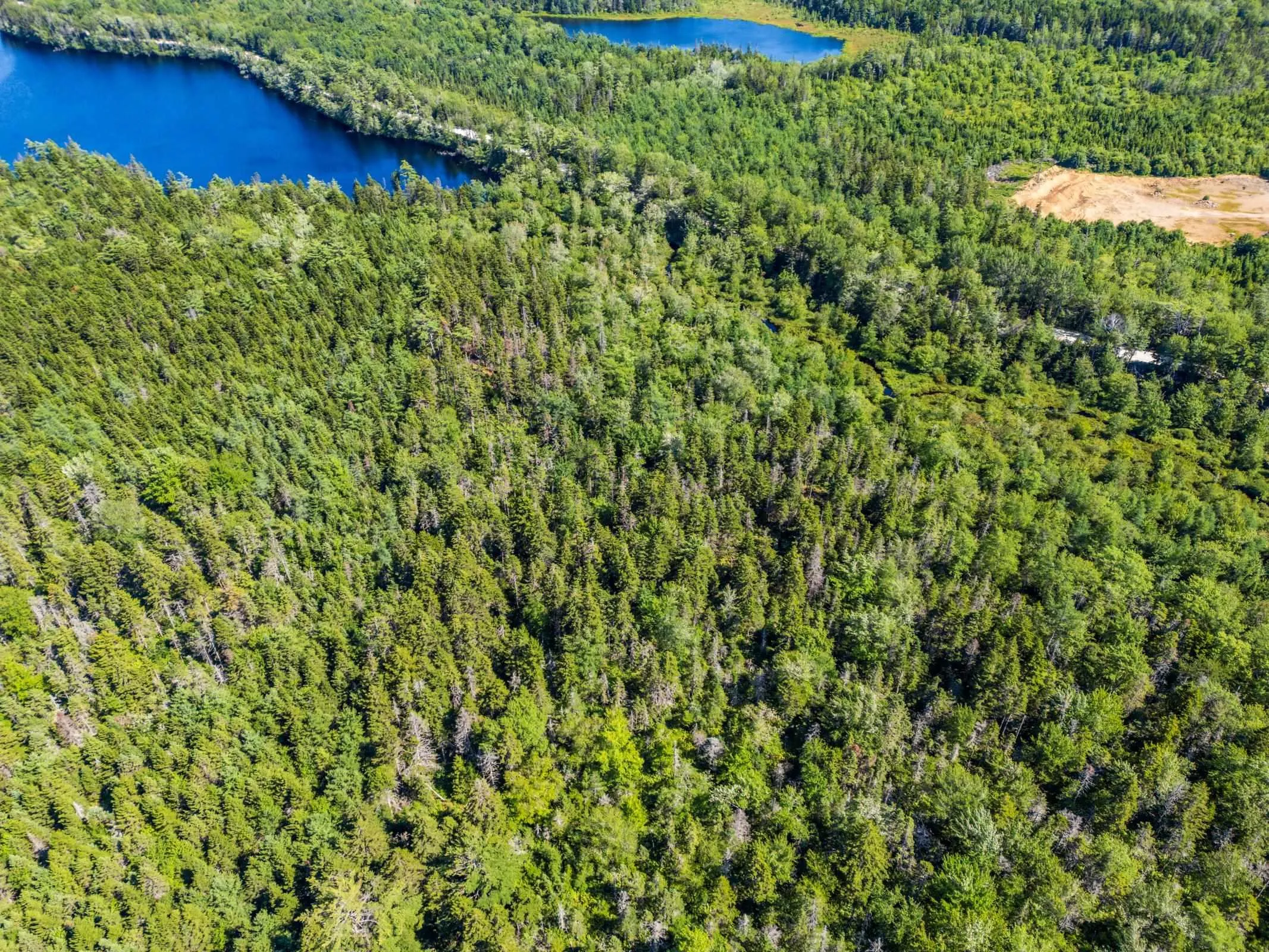 Lot Ticken Lake Road, Briar Lake, NS B0W 3T0, ,Land,For Sale,Ticken Lake Road,202518890