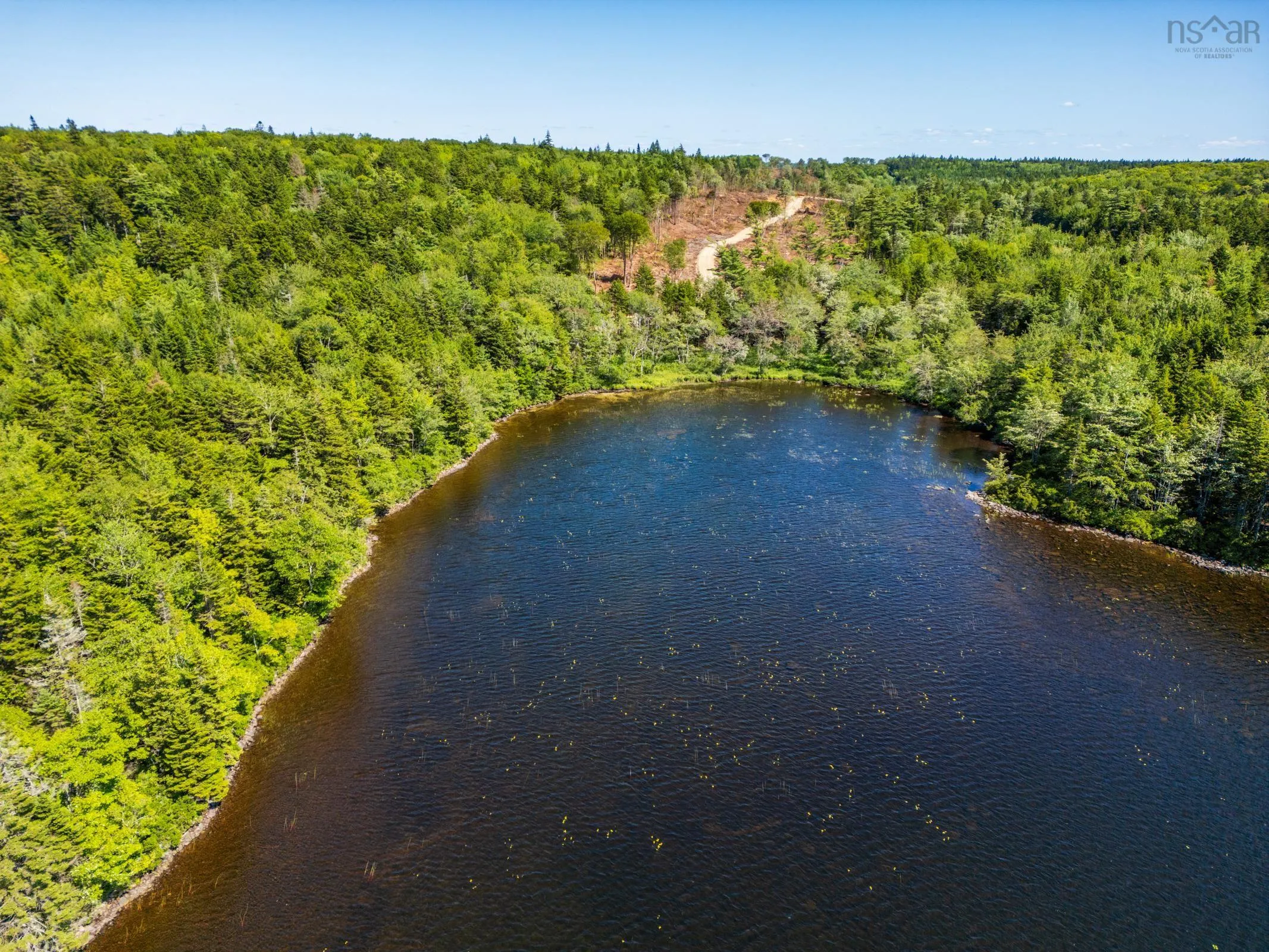 Lot Ticken Lake Road, Briar Lake, NS B0W 3T0, ,Land,For Sale,Ticken Lake Road,202518890