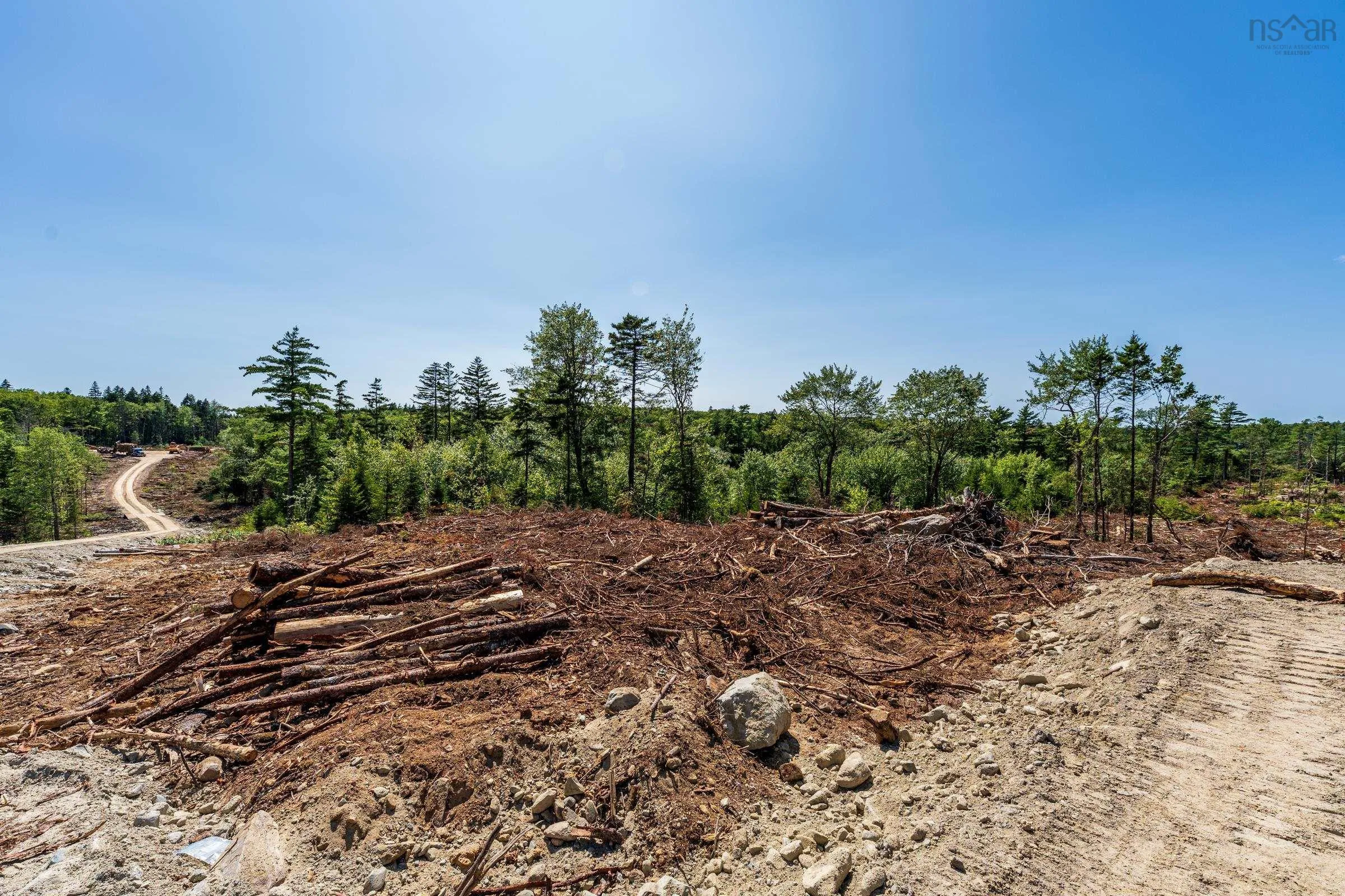 Lot Ticken Lake Road, Briar Lake, NS B0W 3T0, ,Land,For Sale,Ticken Lake Road,202518890