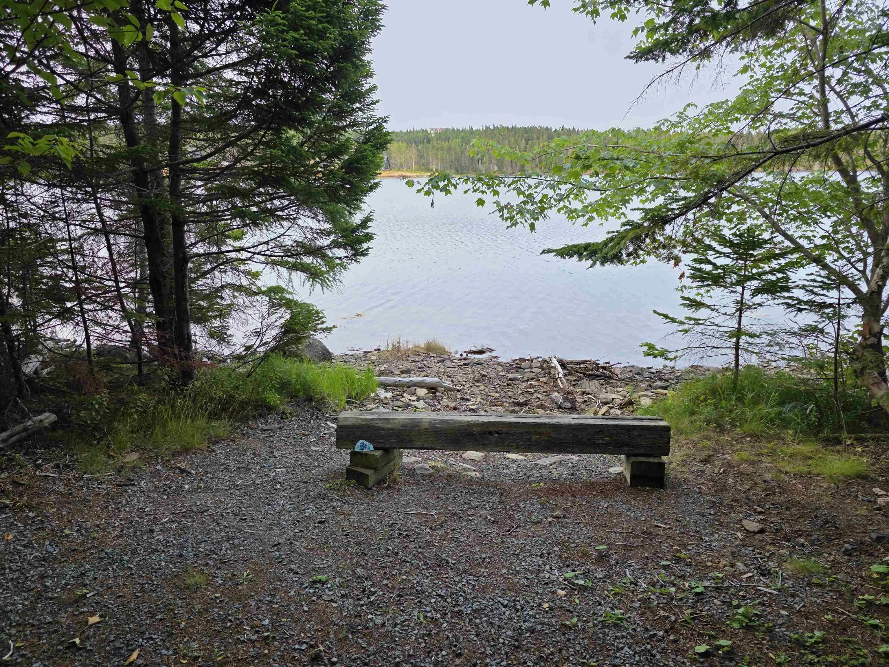 9 Grand Gully Road, River Tillard, NS B0E 2X0, 3 Bedrooms Bedrooms, ,2 BathroomsBathrooms,Residential,For Sale,Grand Gully,202521182