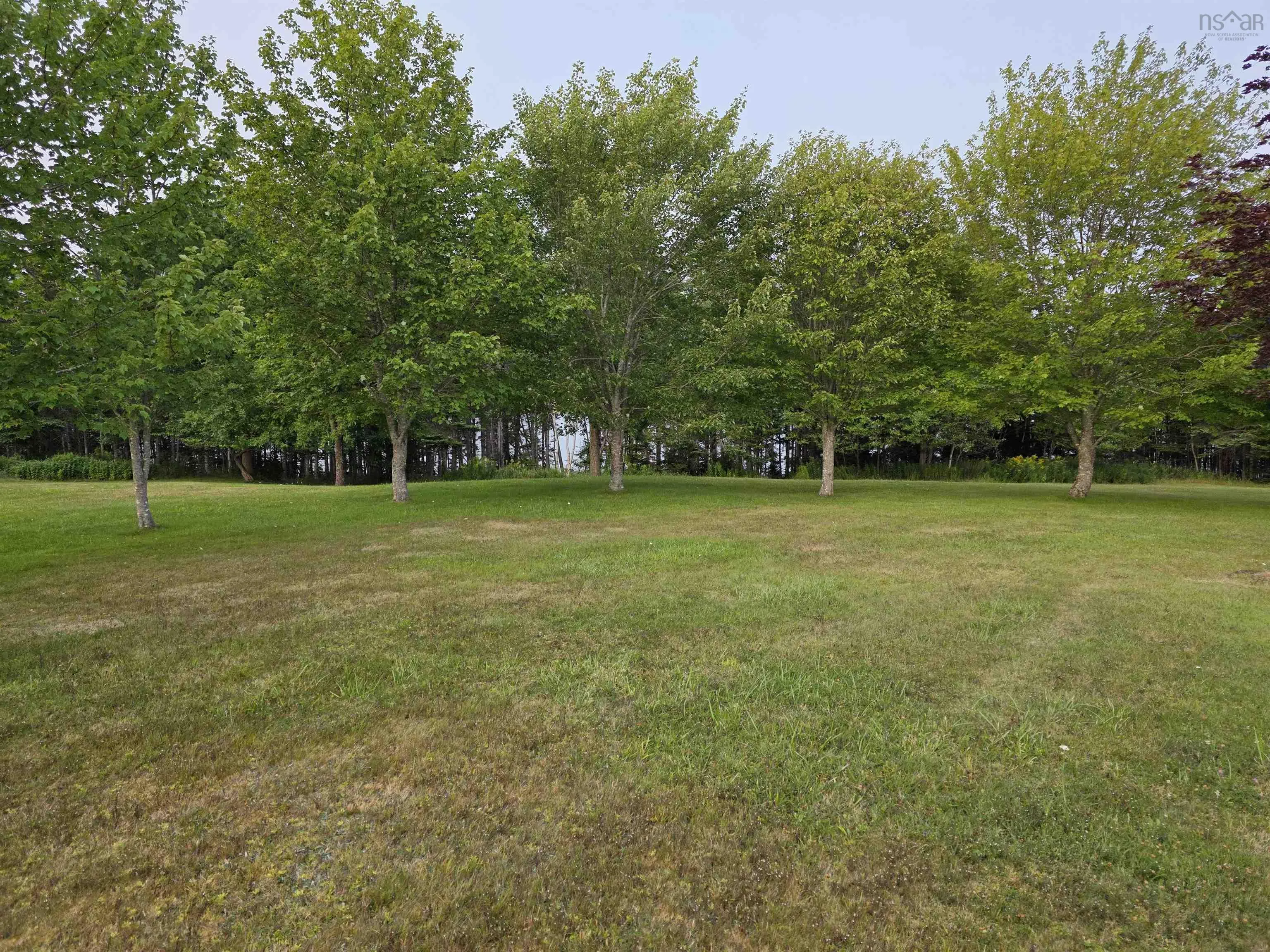 9 Grand Gully Road, River Tillard, NS B0E 2X0, 3 Bedrooms Bedrooms, ,2 BathroomsBathrooms,Residential,For Sale,Grand Gully,202521182