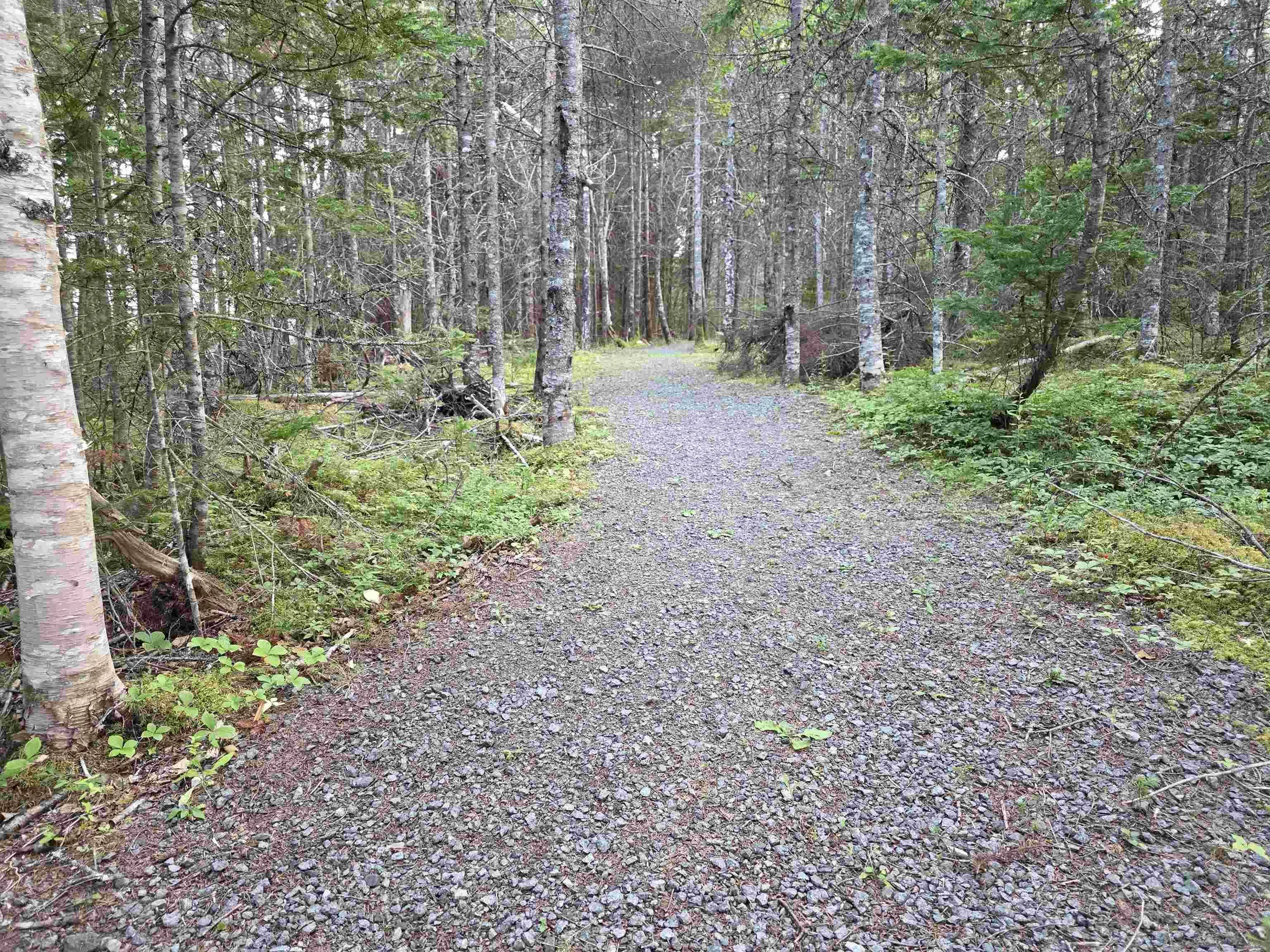 9 Grand Gully Road, River Tillard, NS B0E 2X0, 3 Bedrooms Bedrooms, ,2 BathroomsBathrooms,Residential,For Sale,Grand Gully,202521182